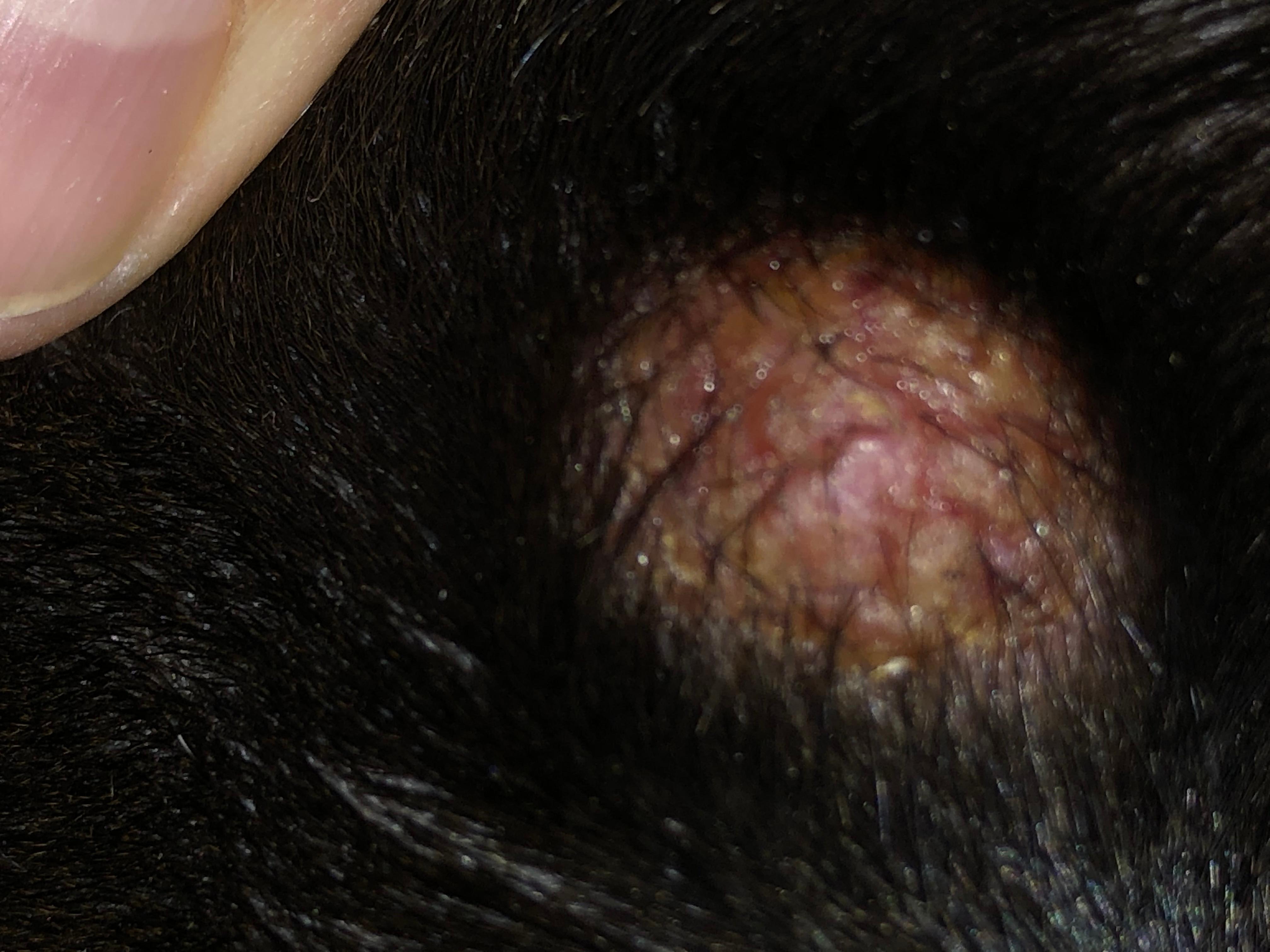 Question details sensitive content