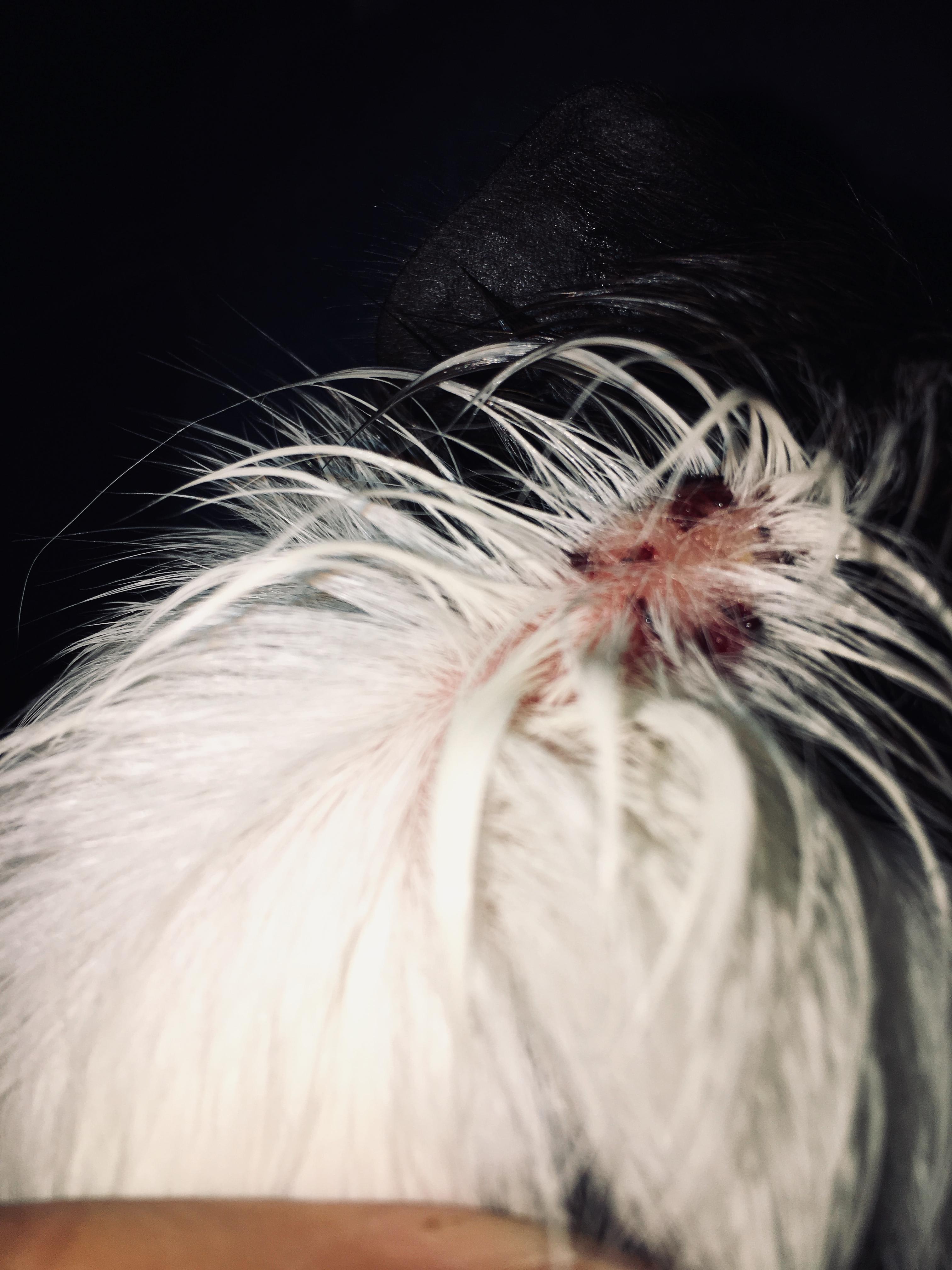 Question details sensitive content