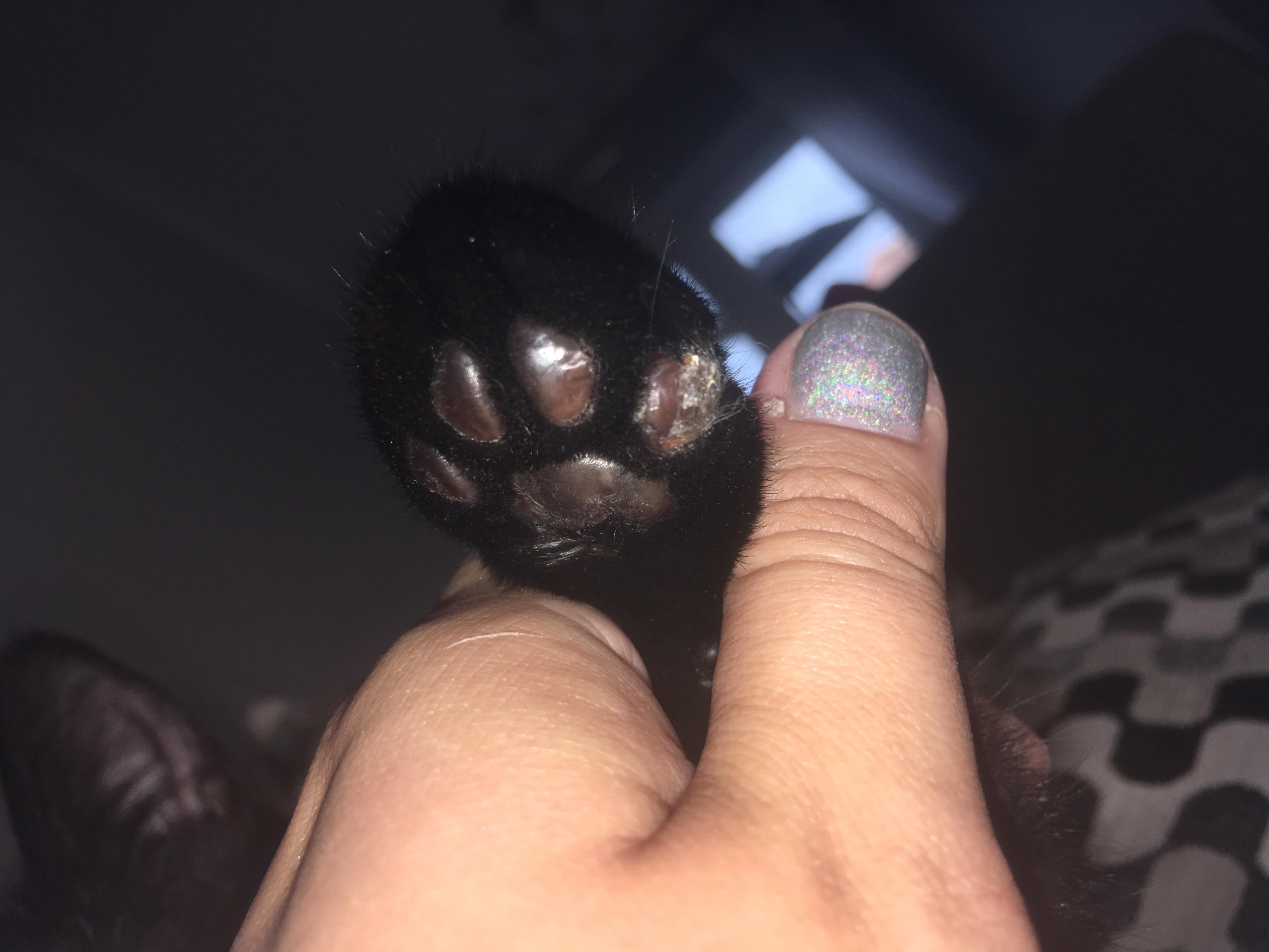 Question details sensitive content