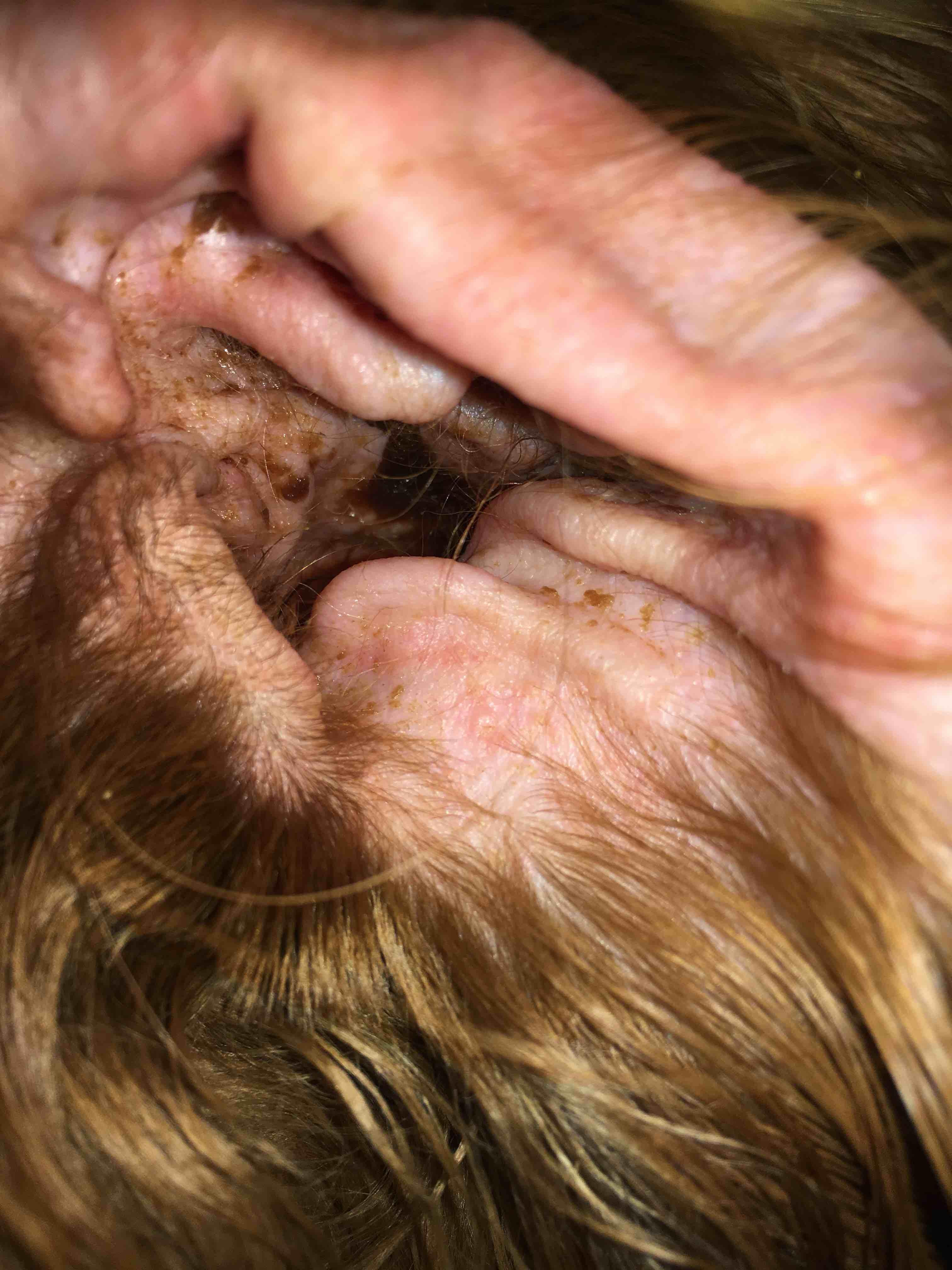 Question details sensitive content