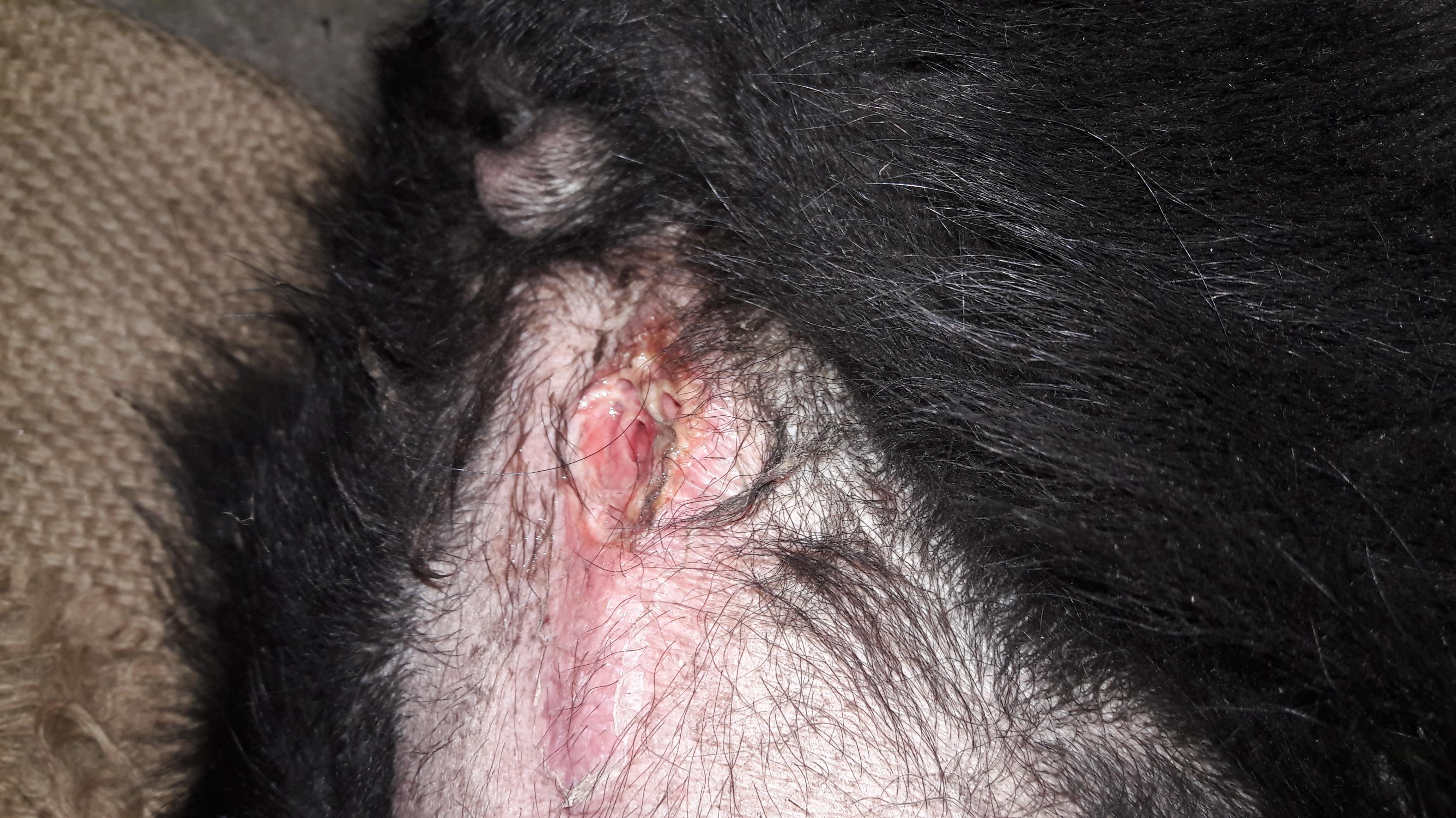 Question details sensitive content