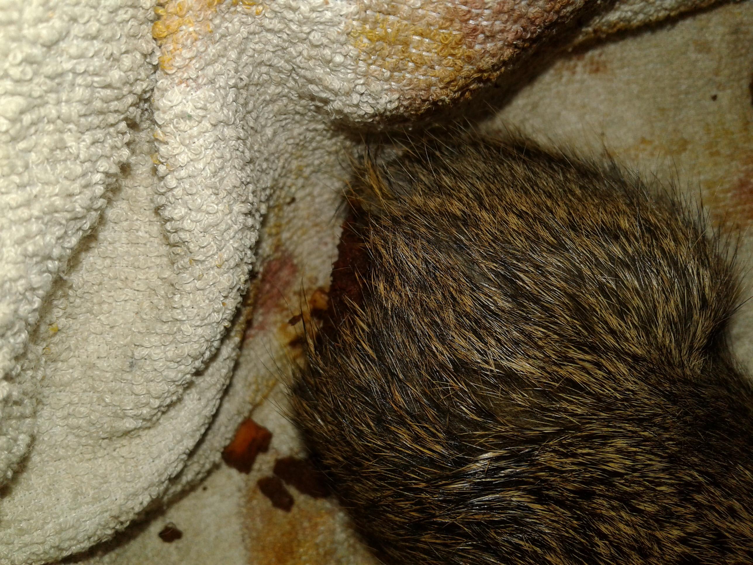 Question details sensitive content