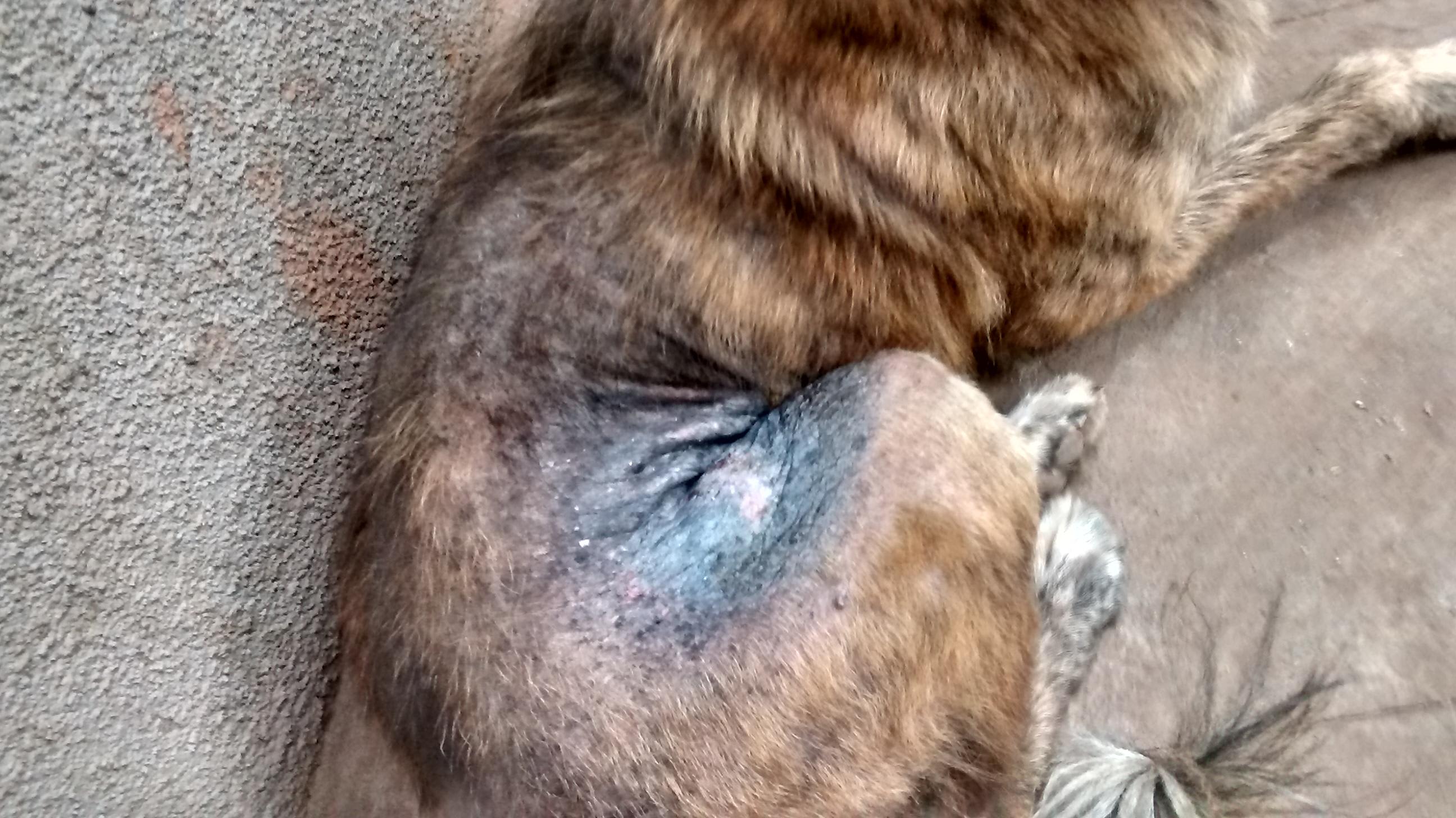 Question details sensitive content