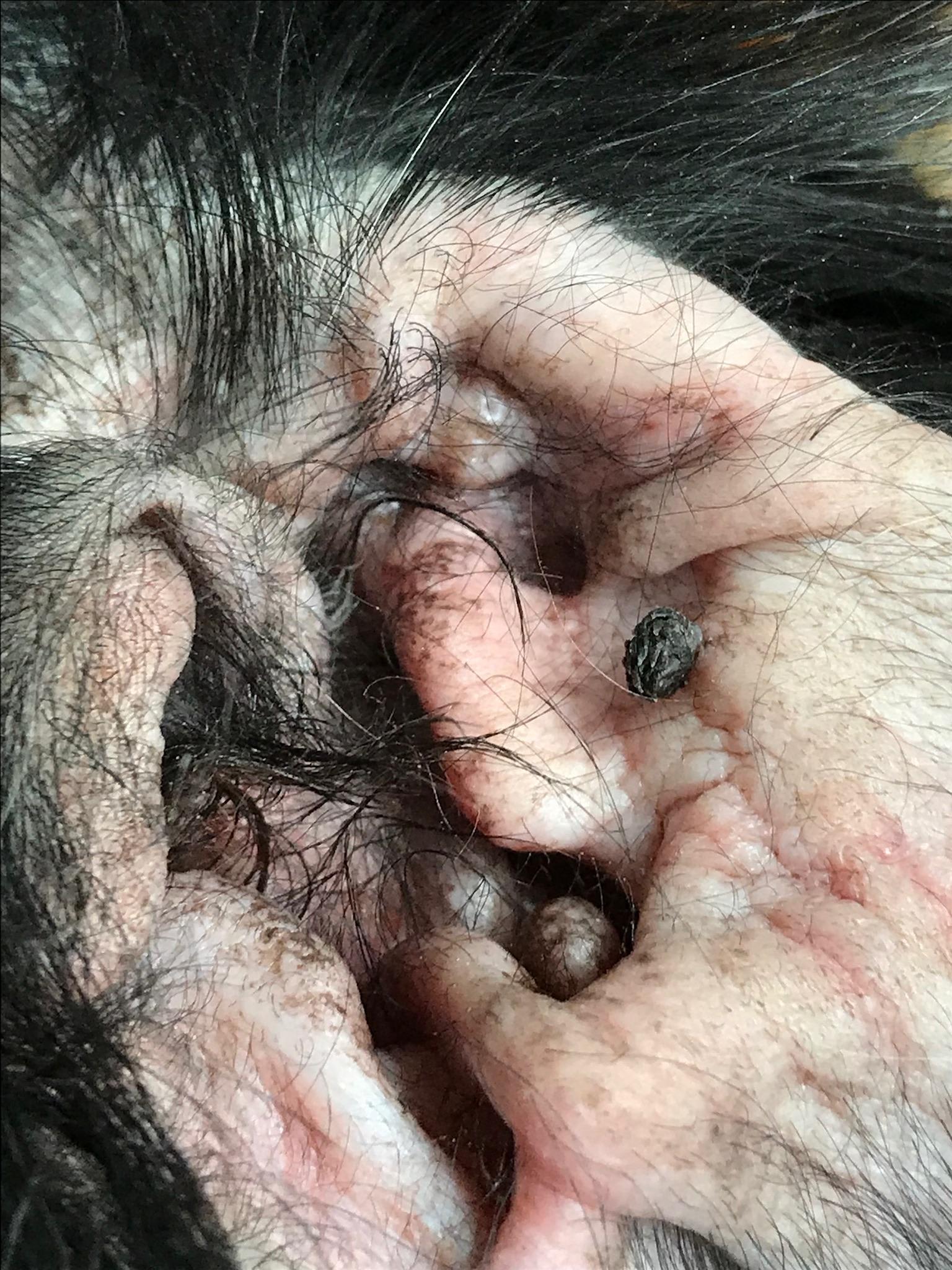 Question details sensitive content