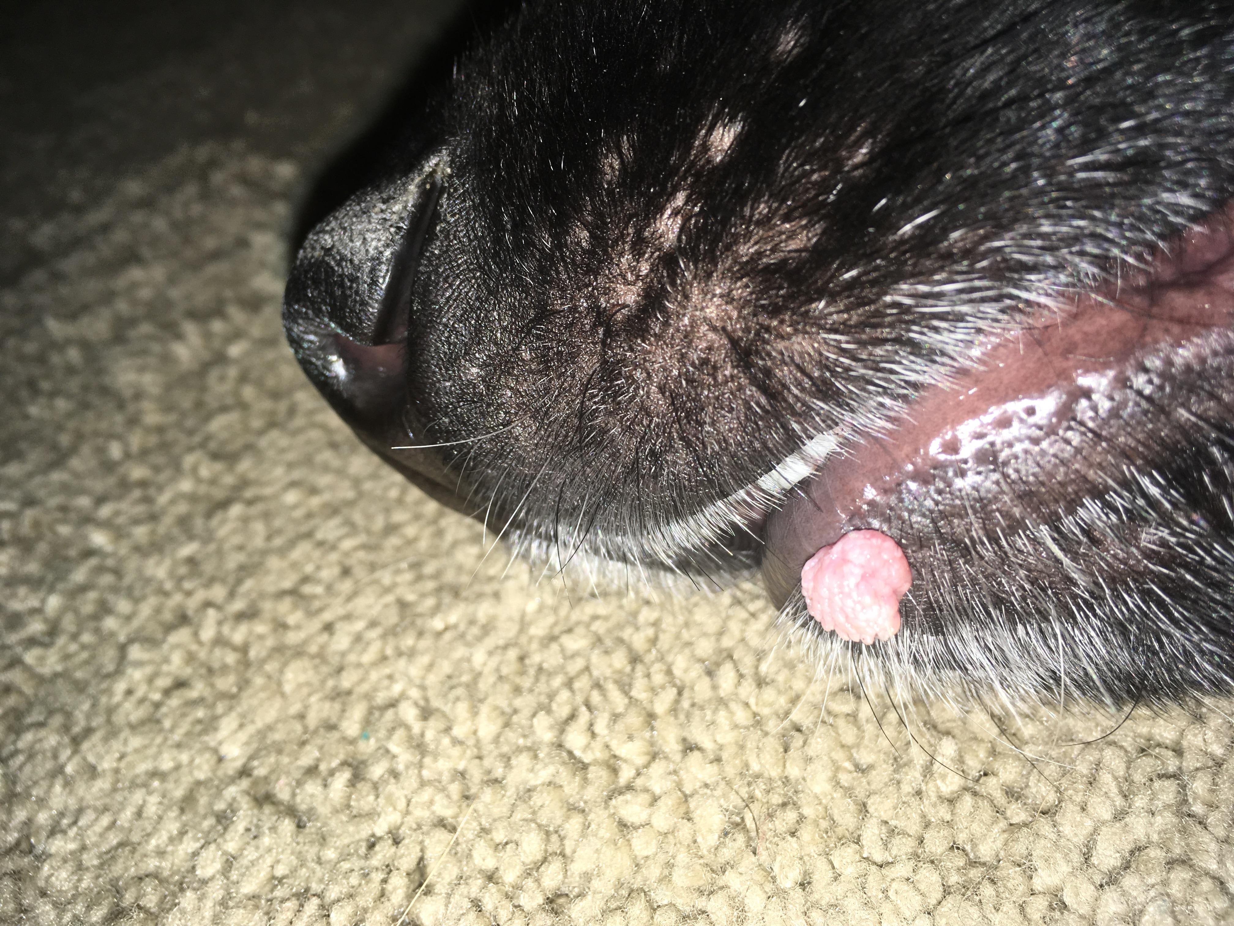 Question details sensitive content