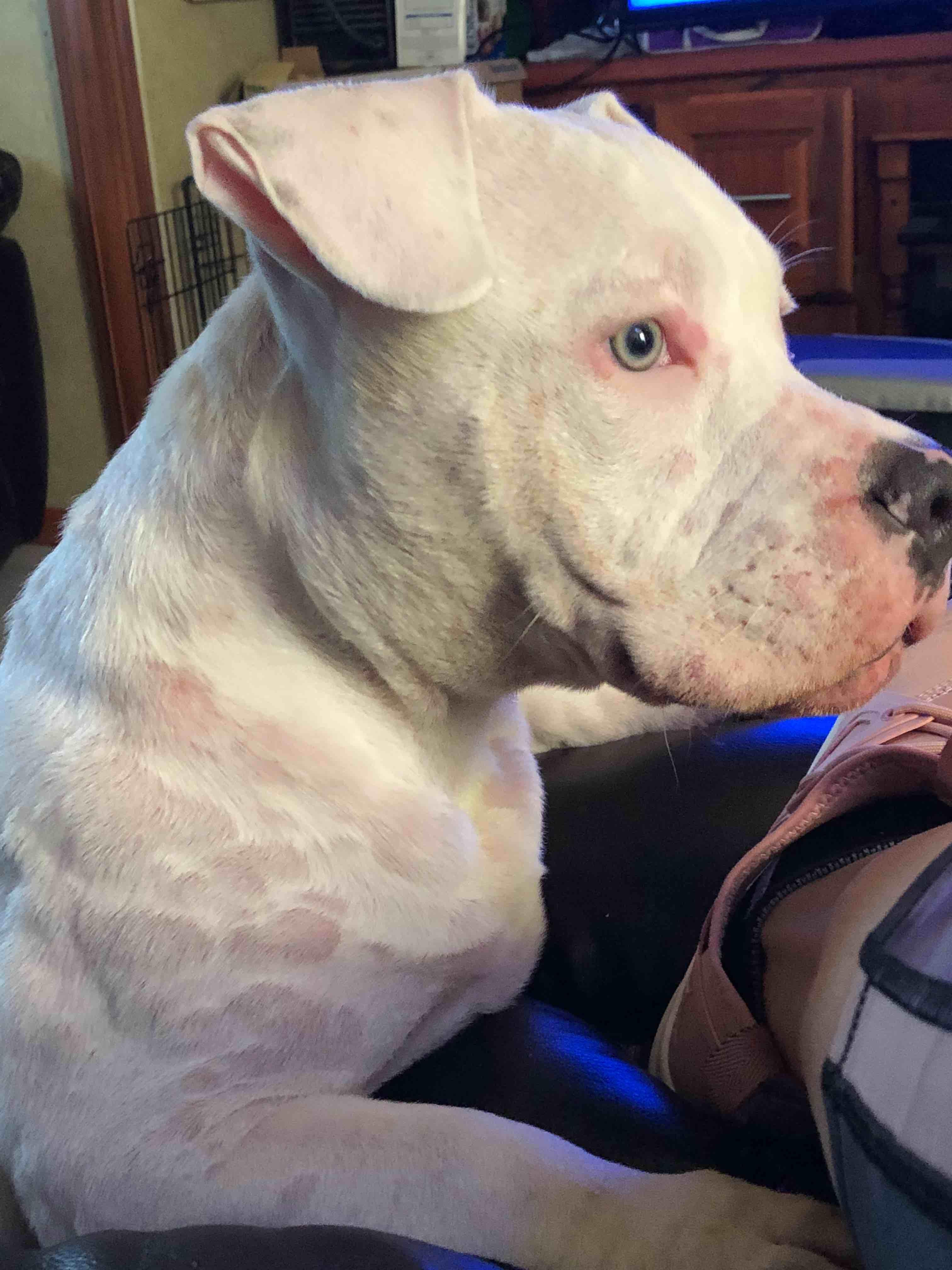 Question details sensitive content