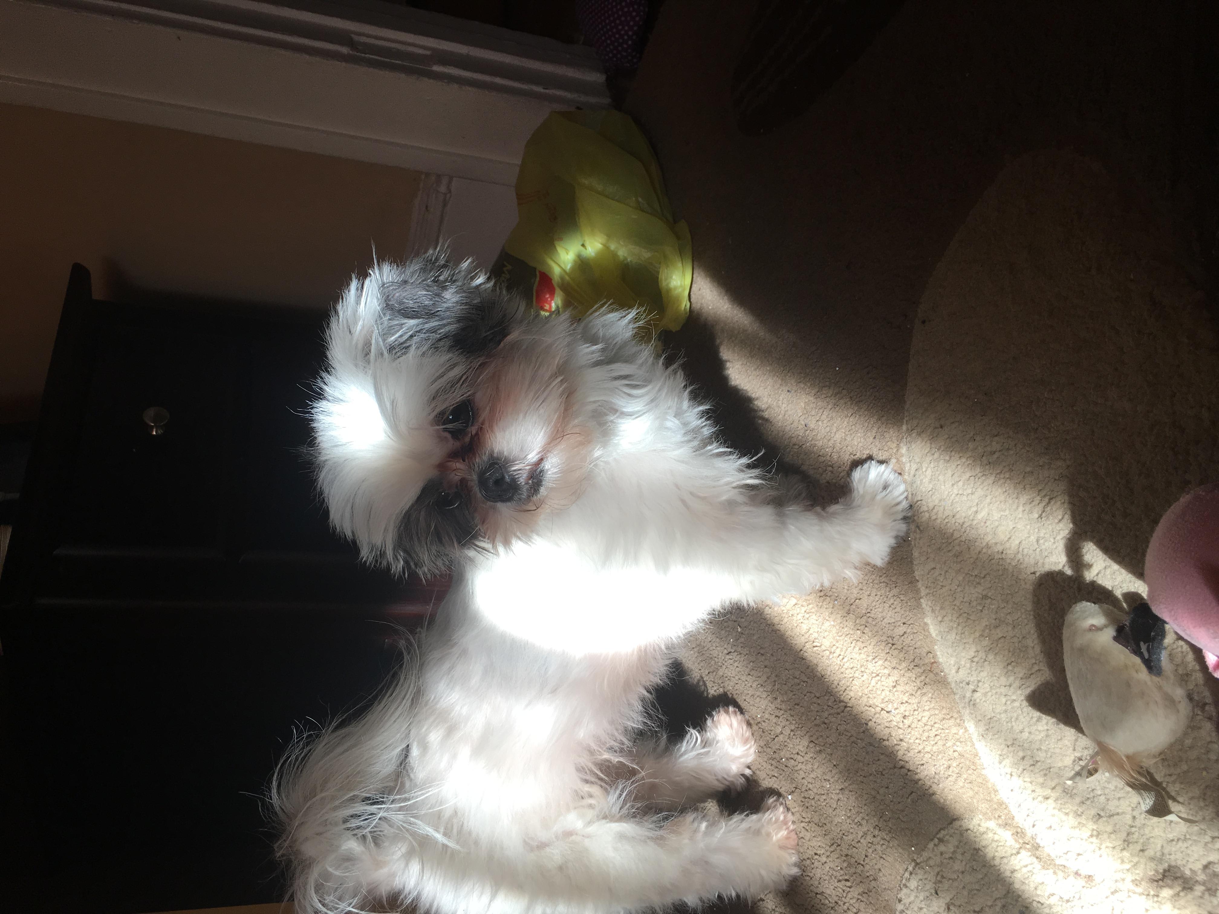 Question details sensitive content