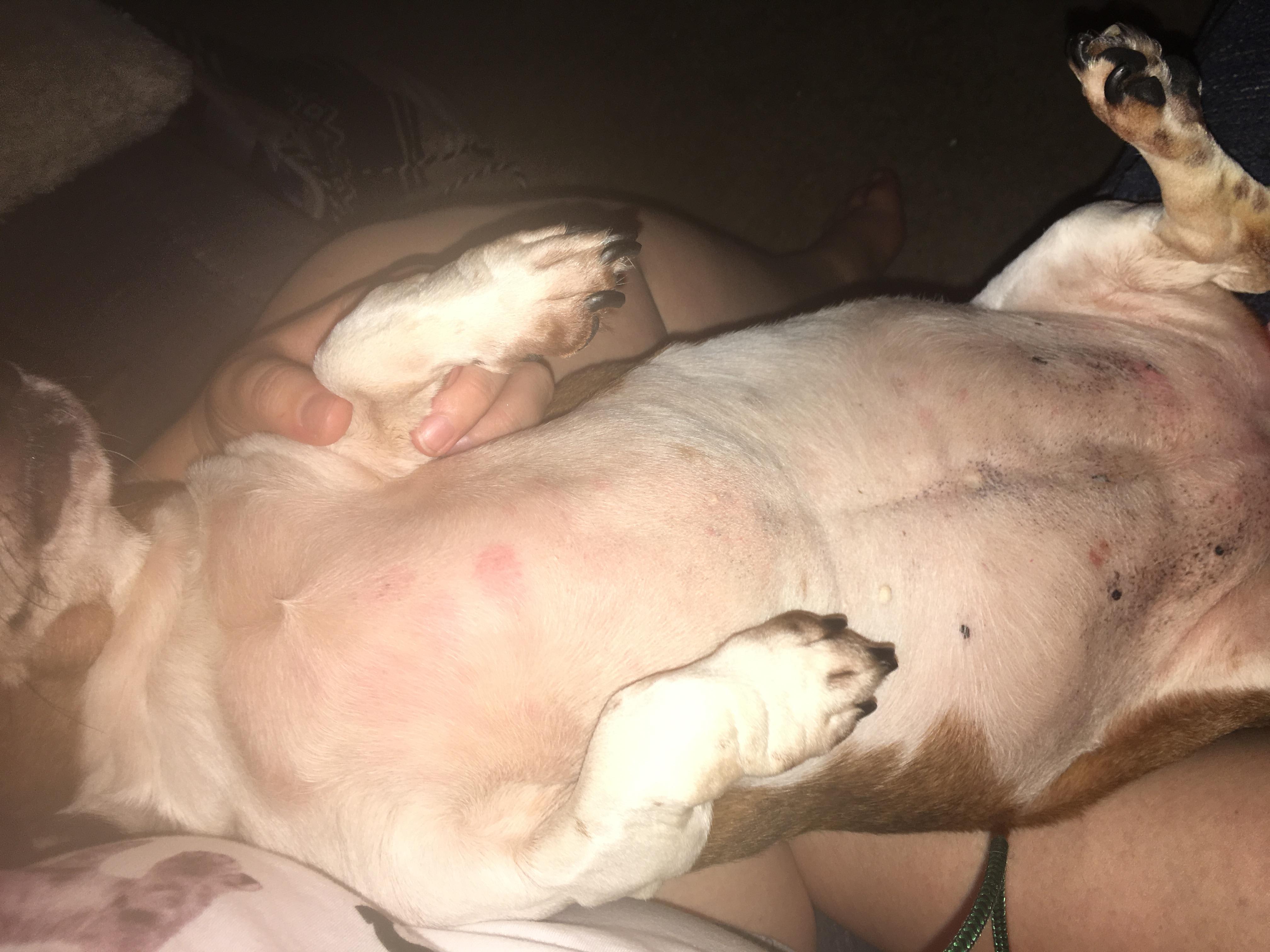 Question details sensitive content