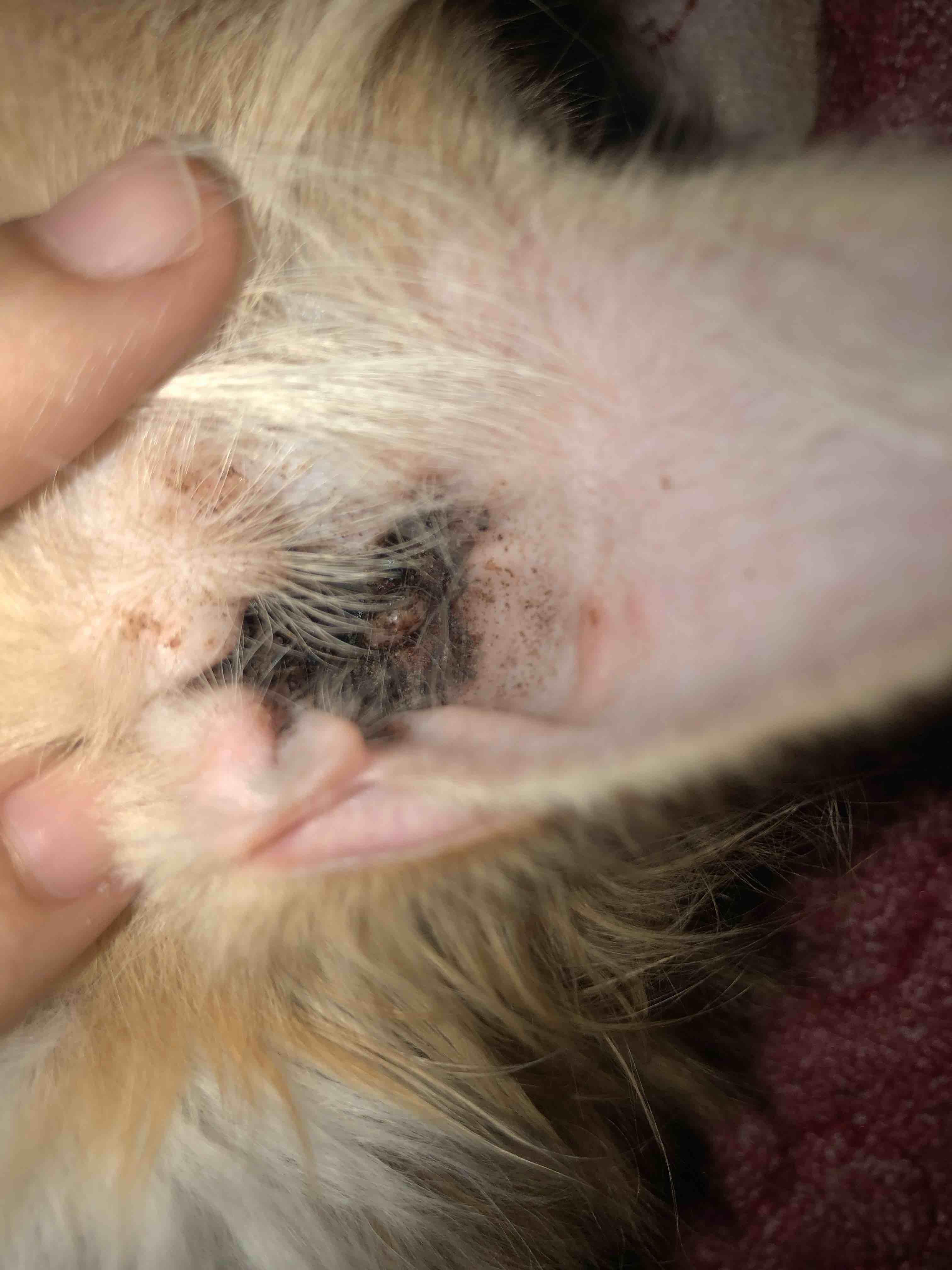 Question details sensitive content