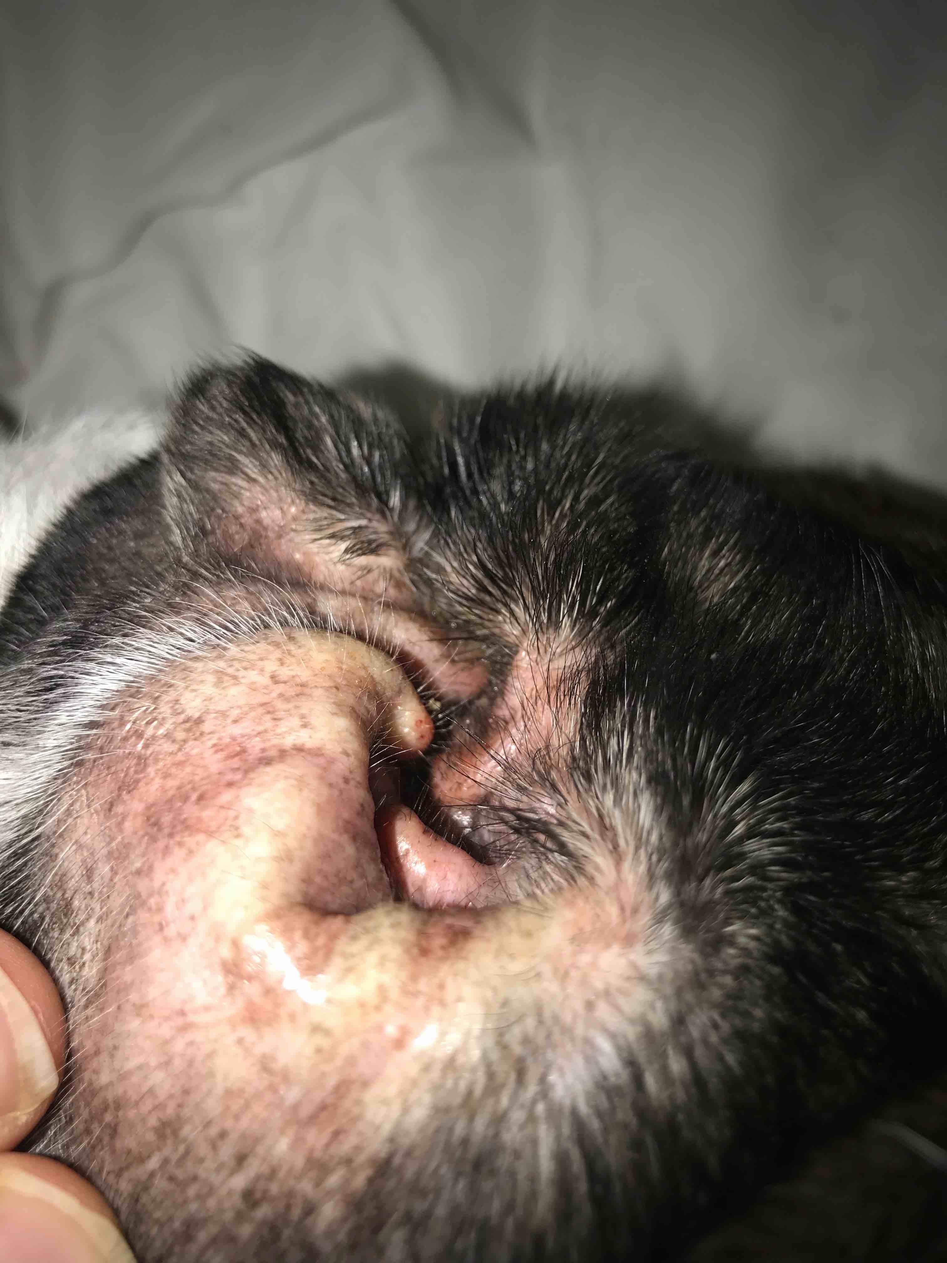 Question details sensitive content