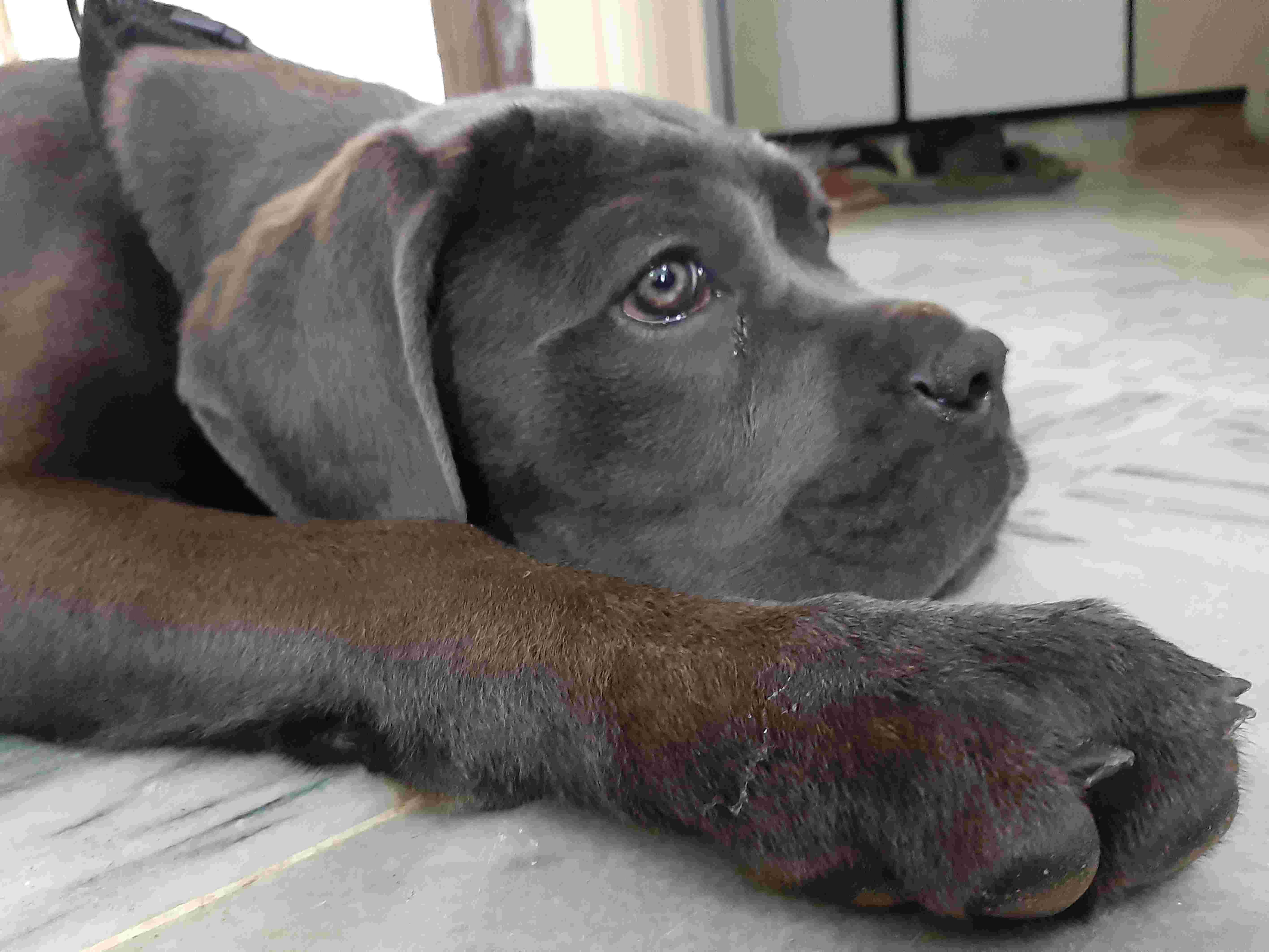 Question details sensitive content