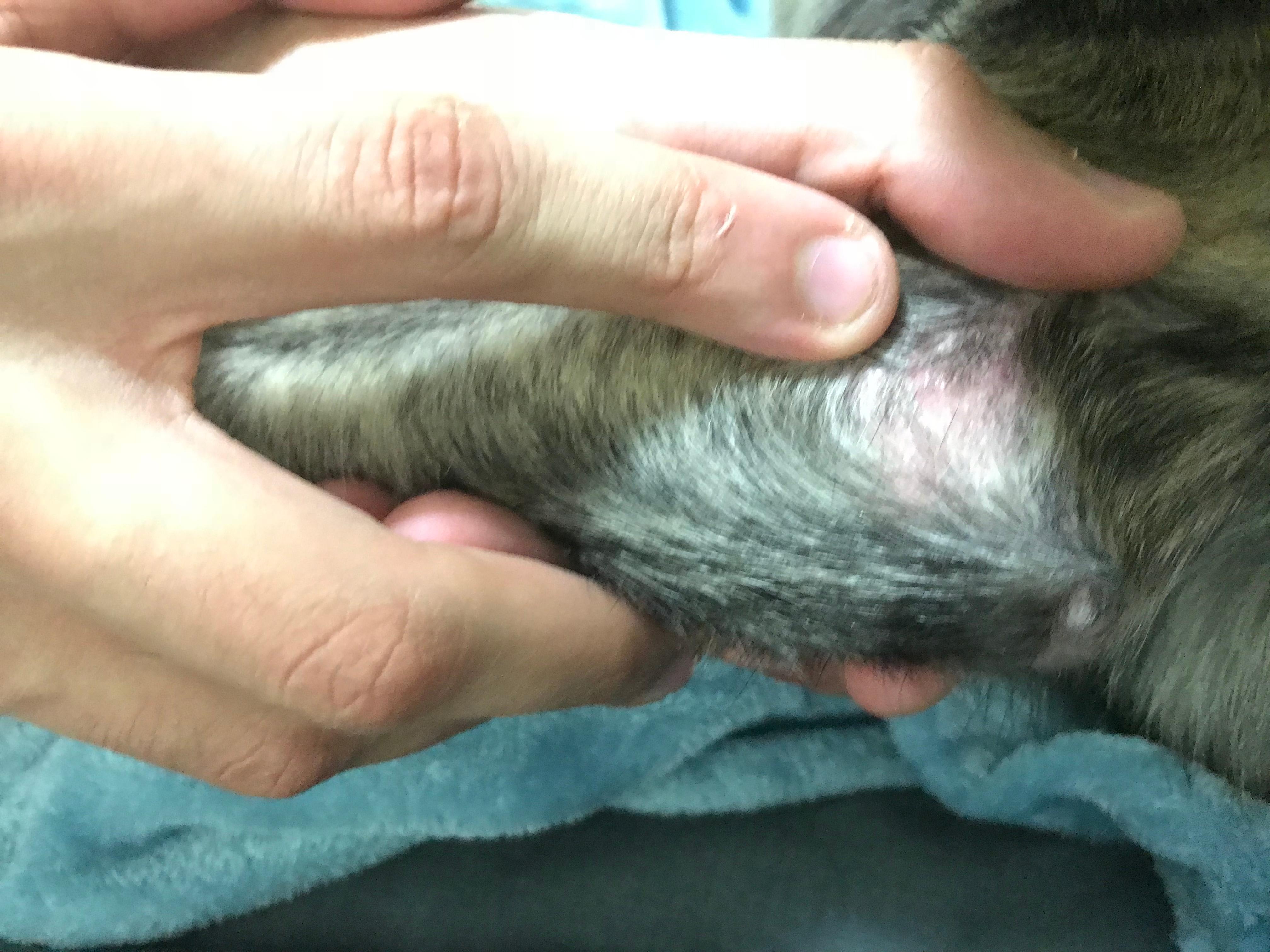 Question details sensitive content