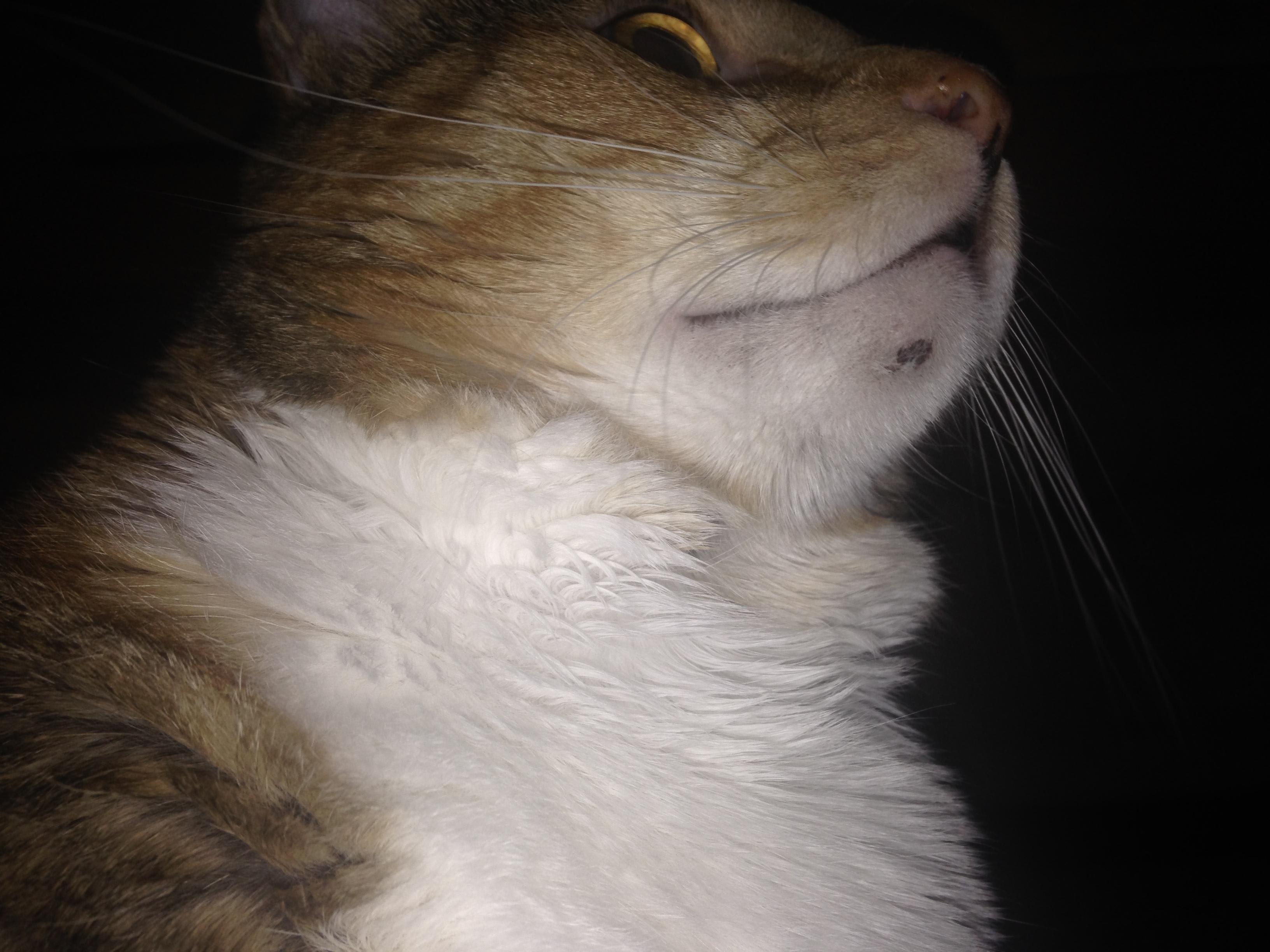 Question details sensitive content