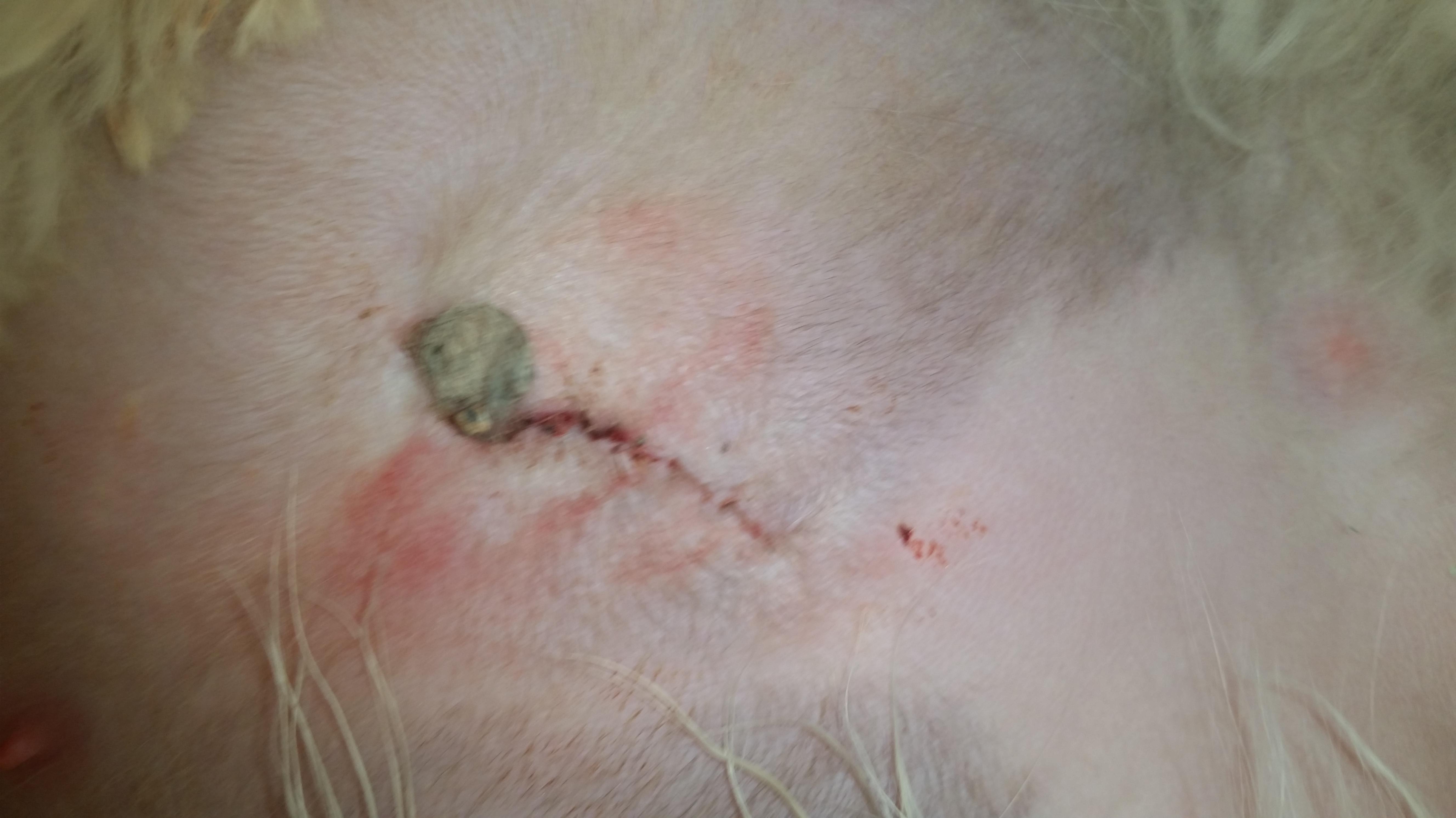 Question details sensitive content