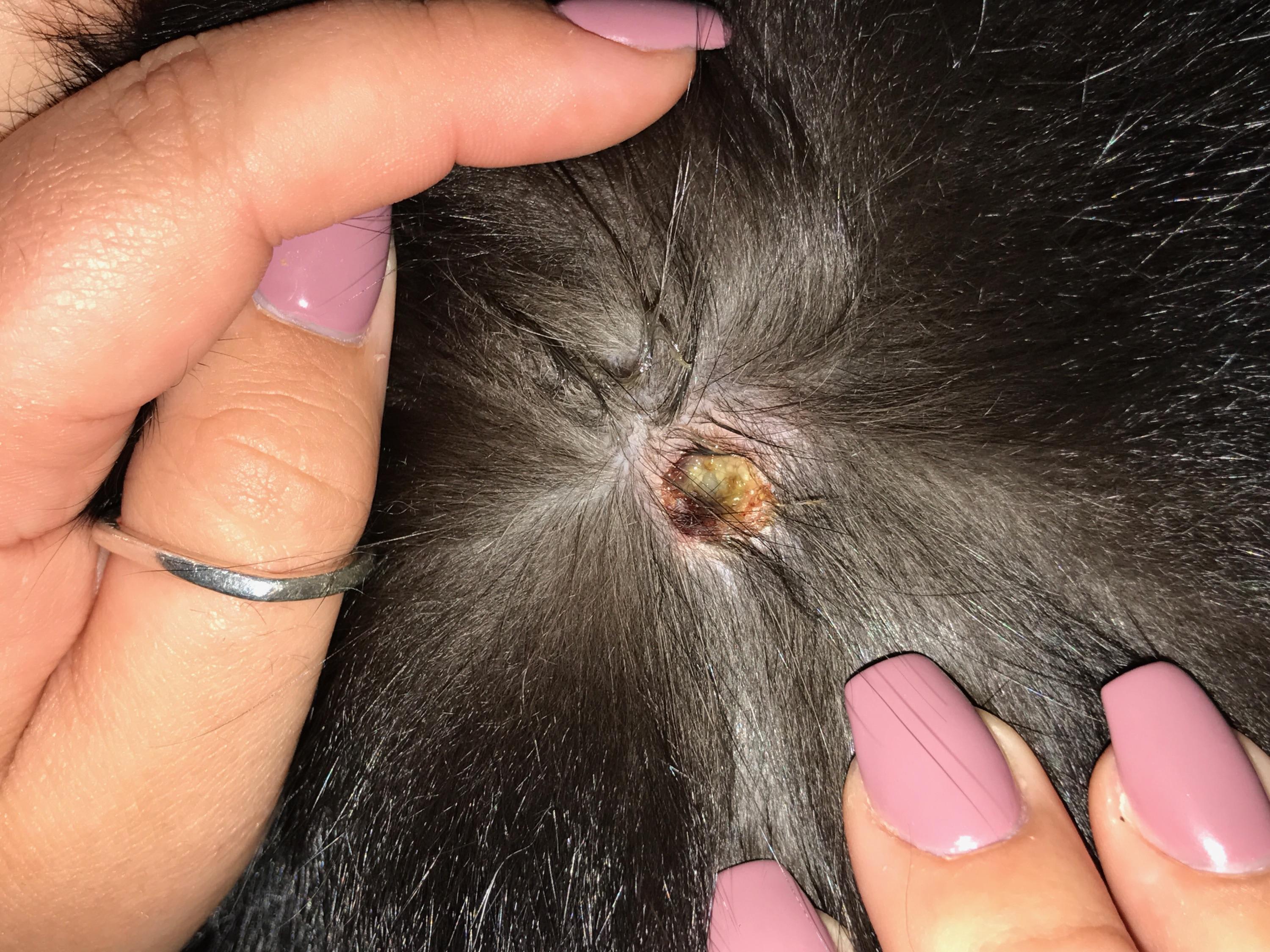 Question details sensitive content