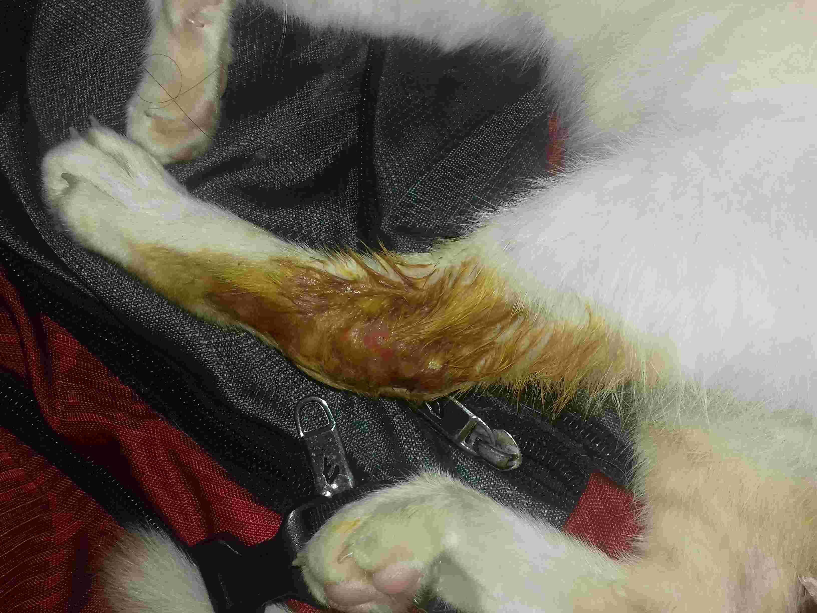 Question details sensitive content