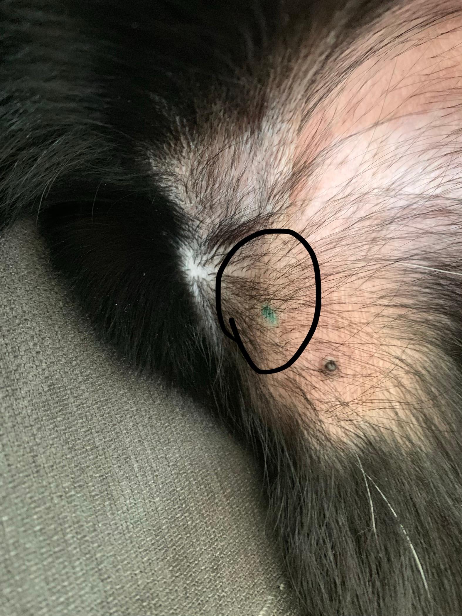 Question details sensitive content