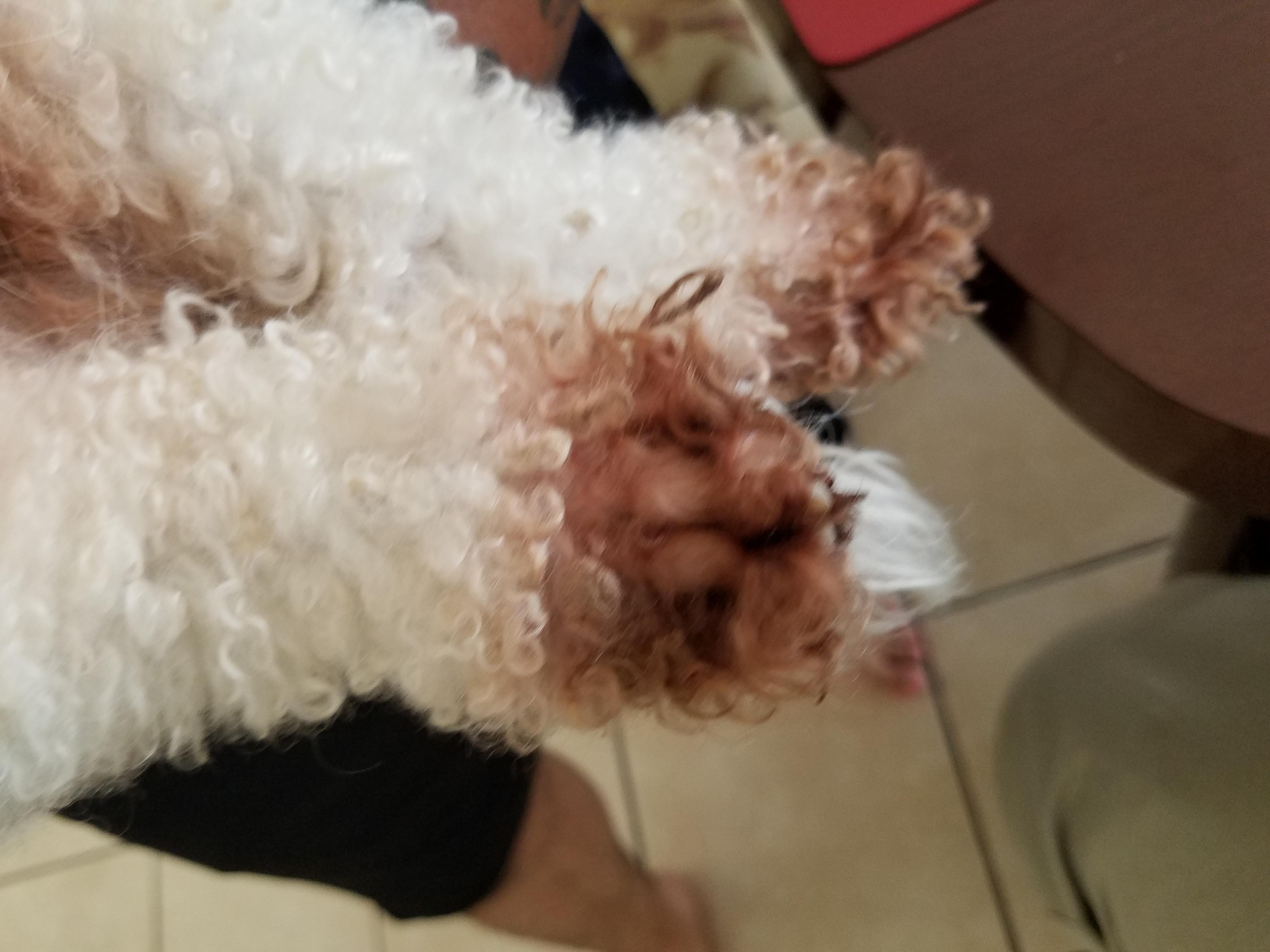 Question details sensitive content