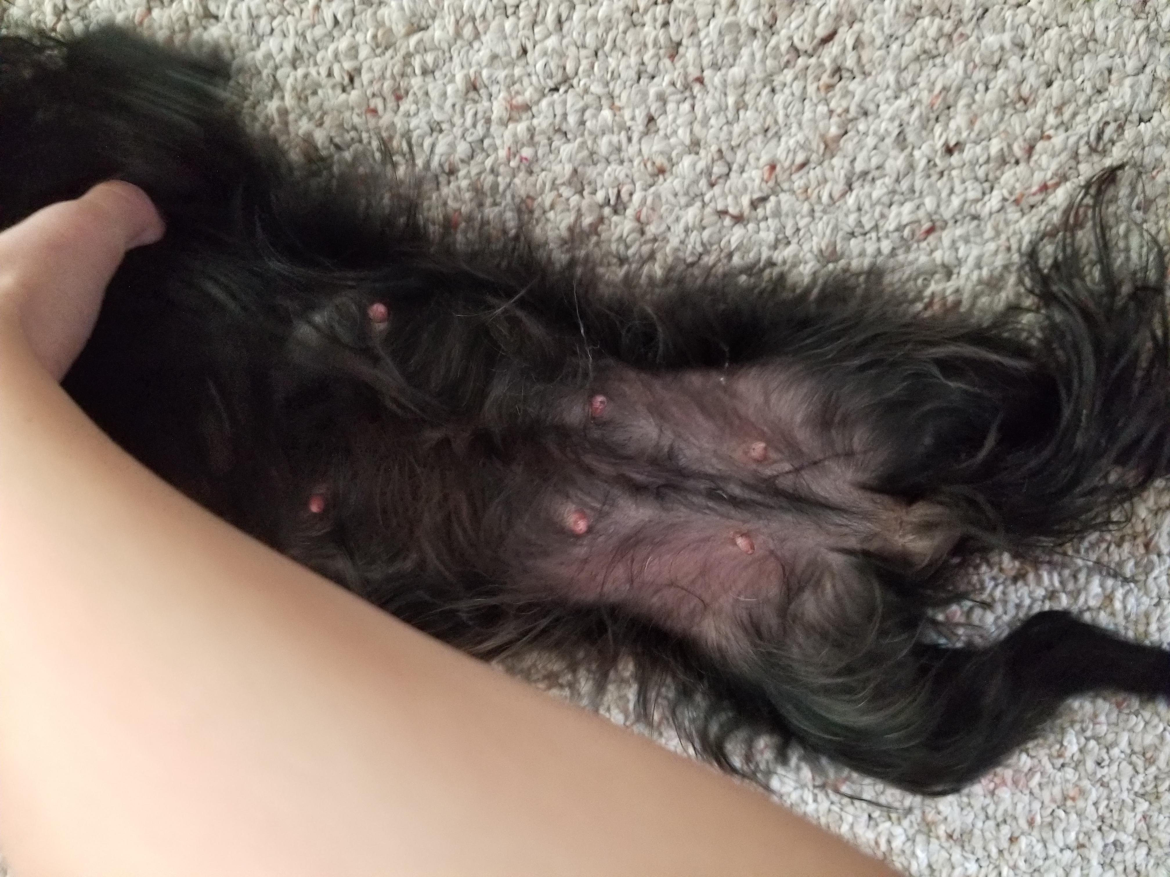 Question details sensitive content