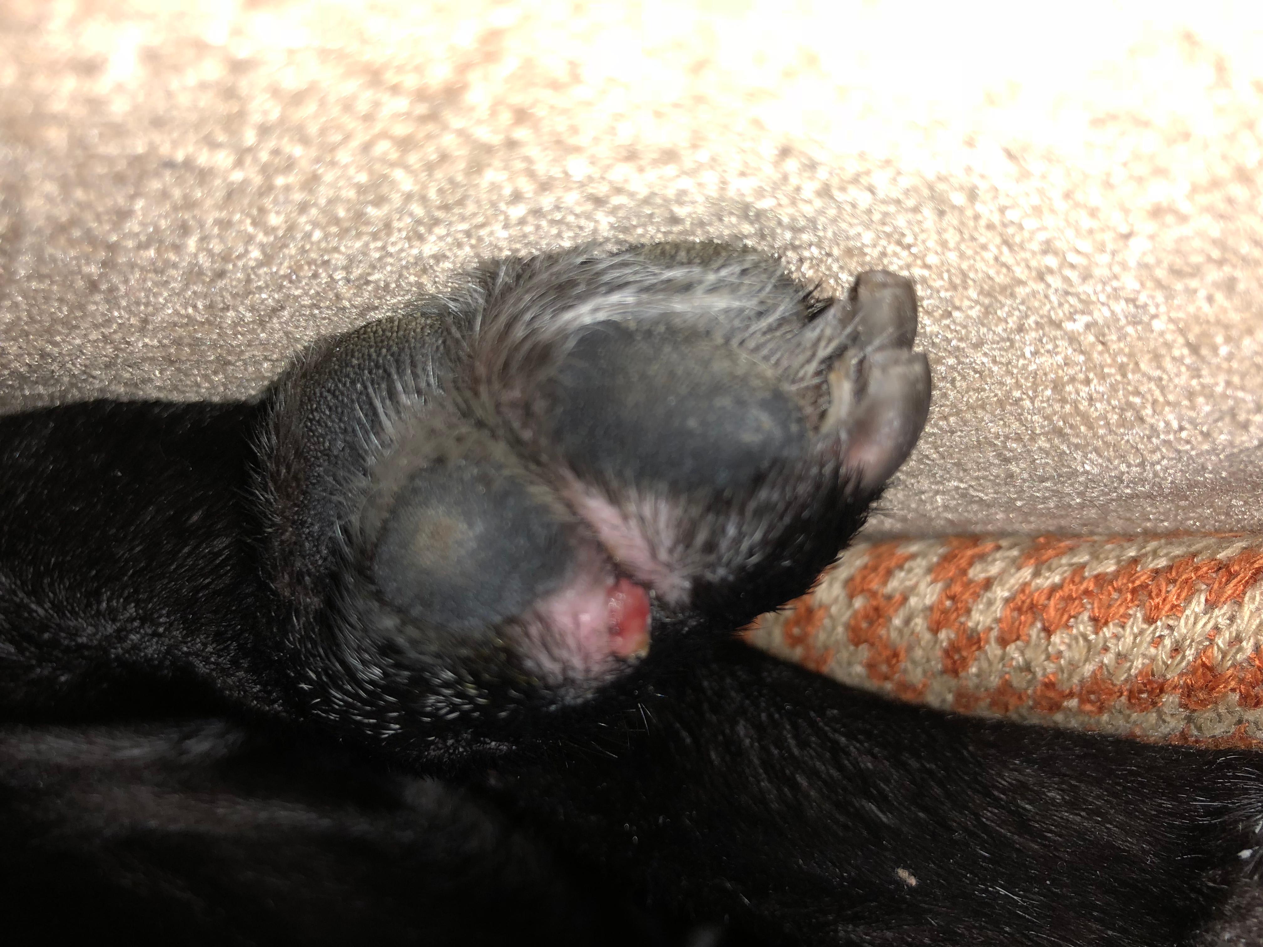 Question details sensitive content