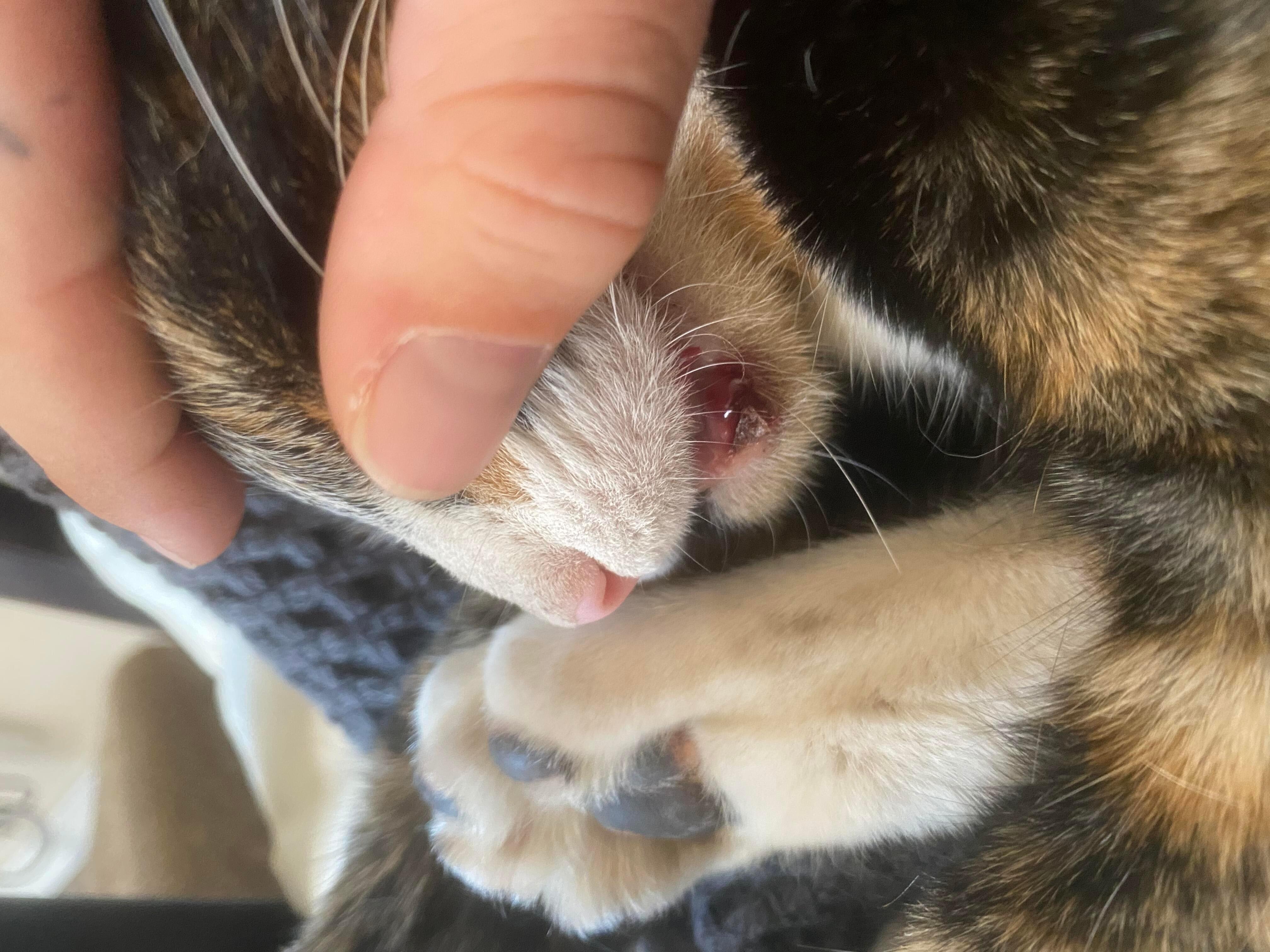 Question details sensitive content