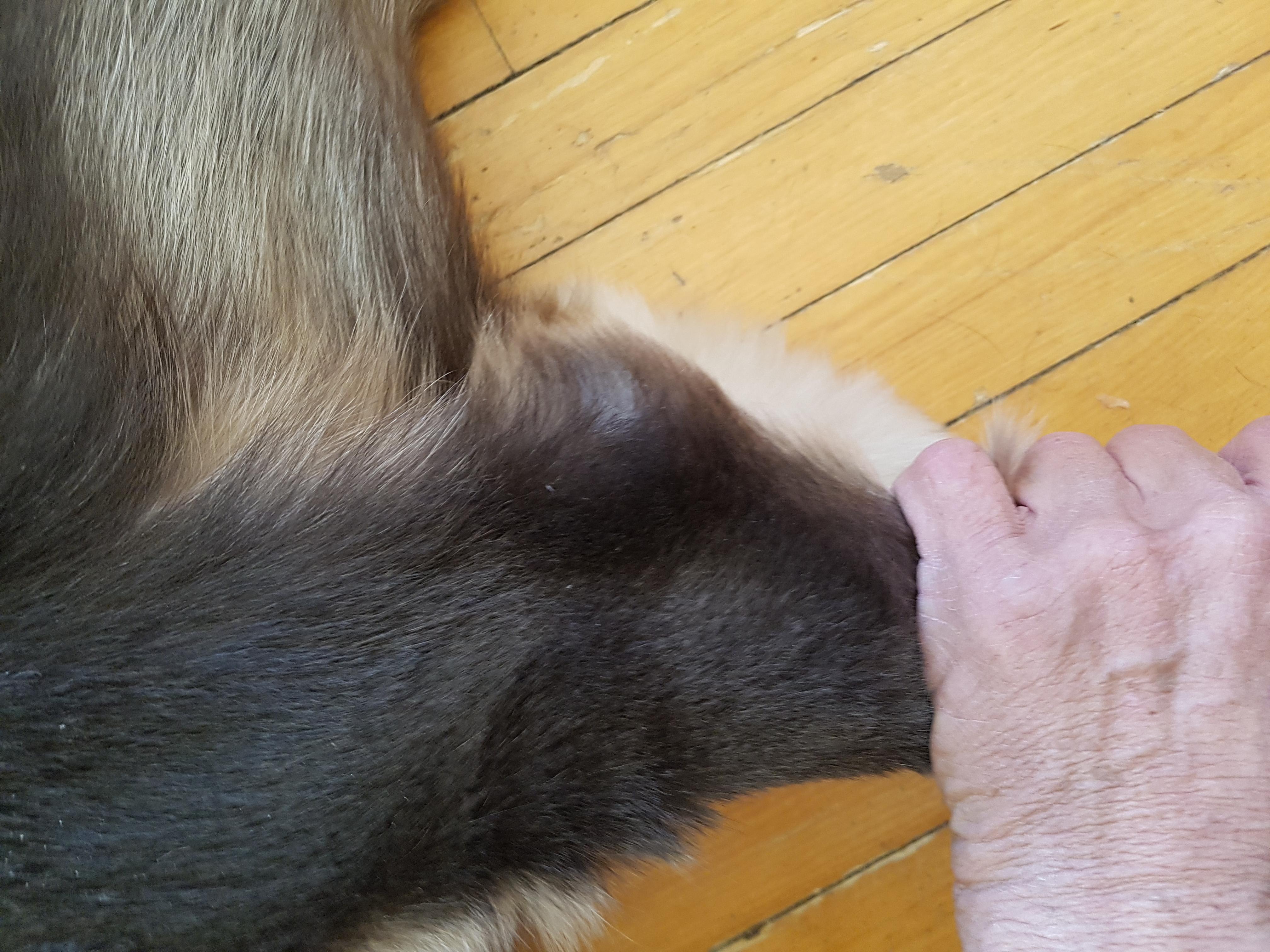 Question details sensitive content