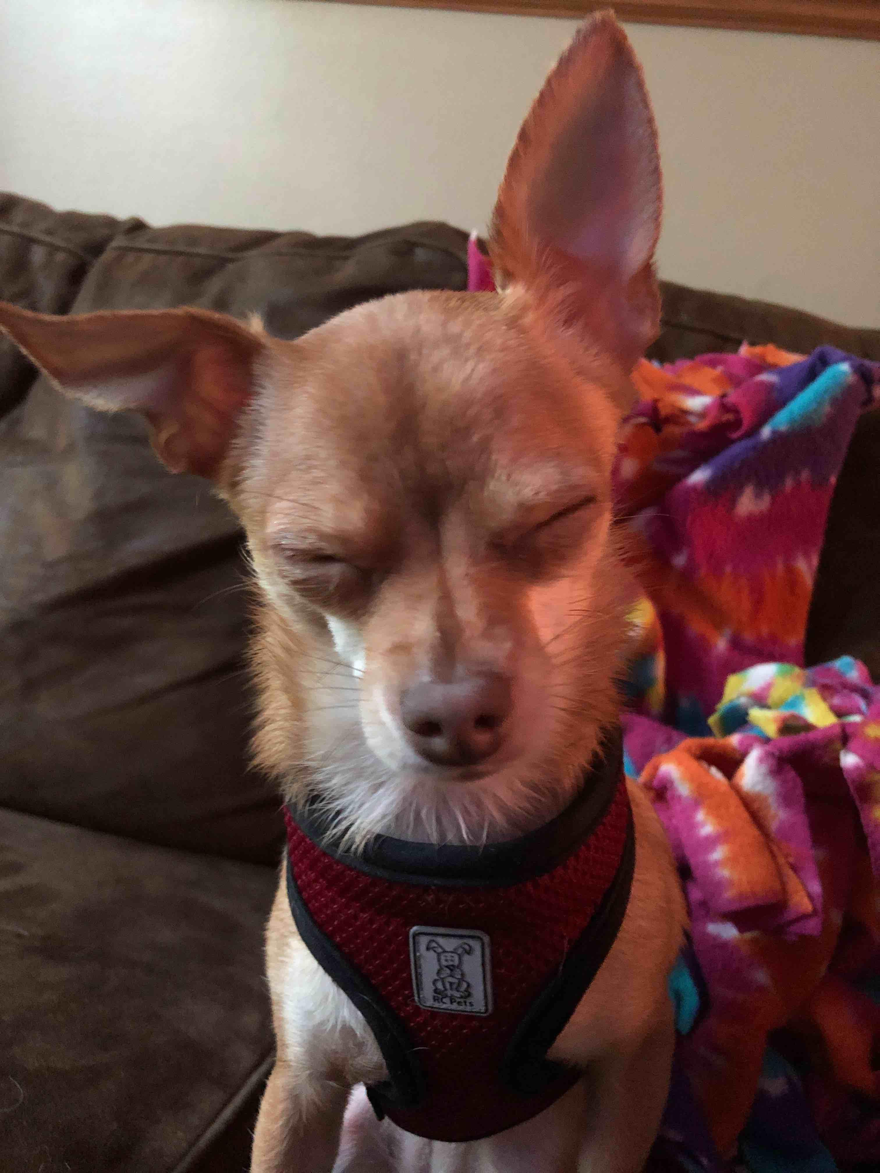 Question details sensitive content