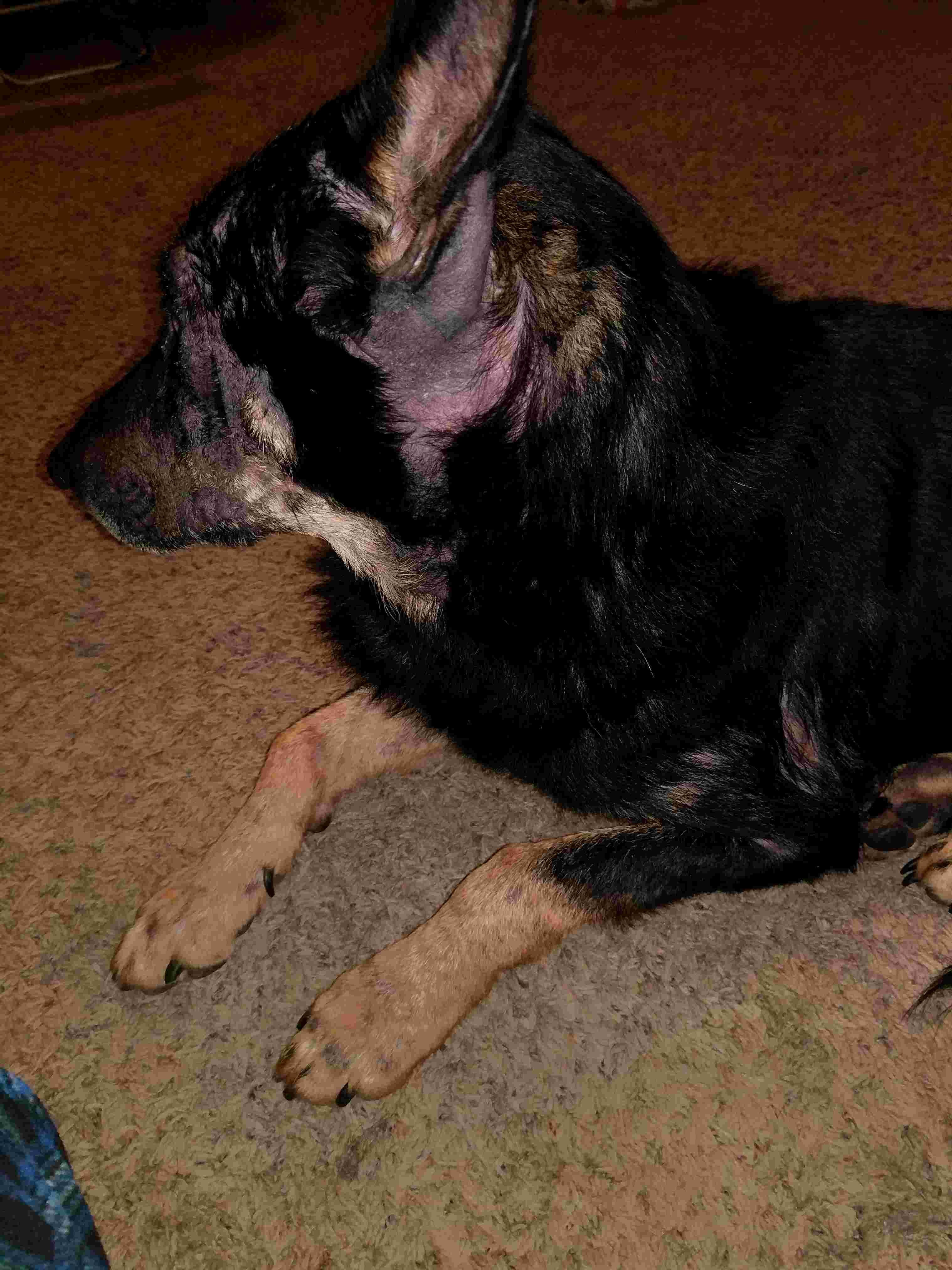 Question details sensitive content