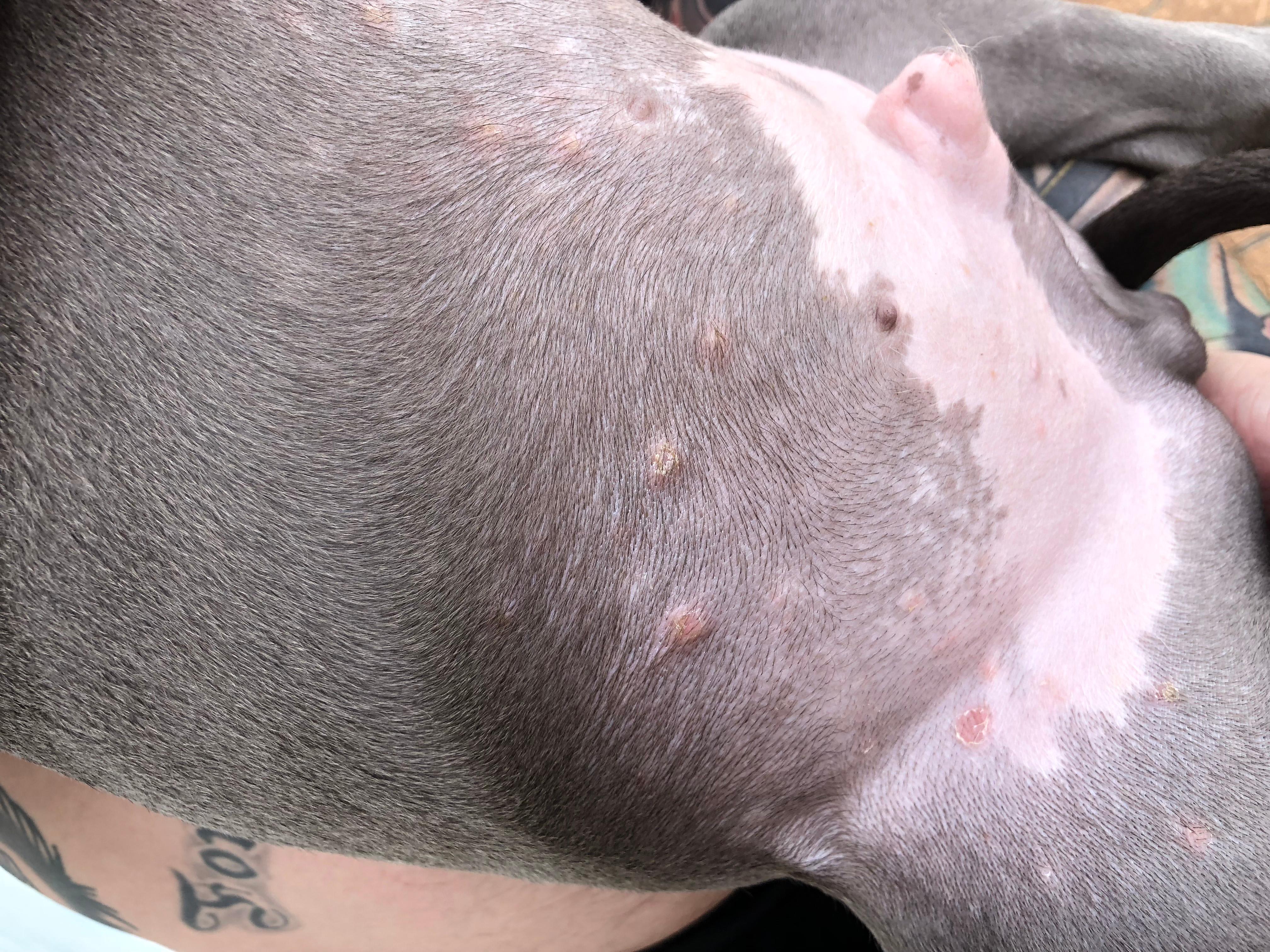 Question details sensitive content