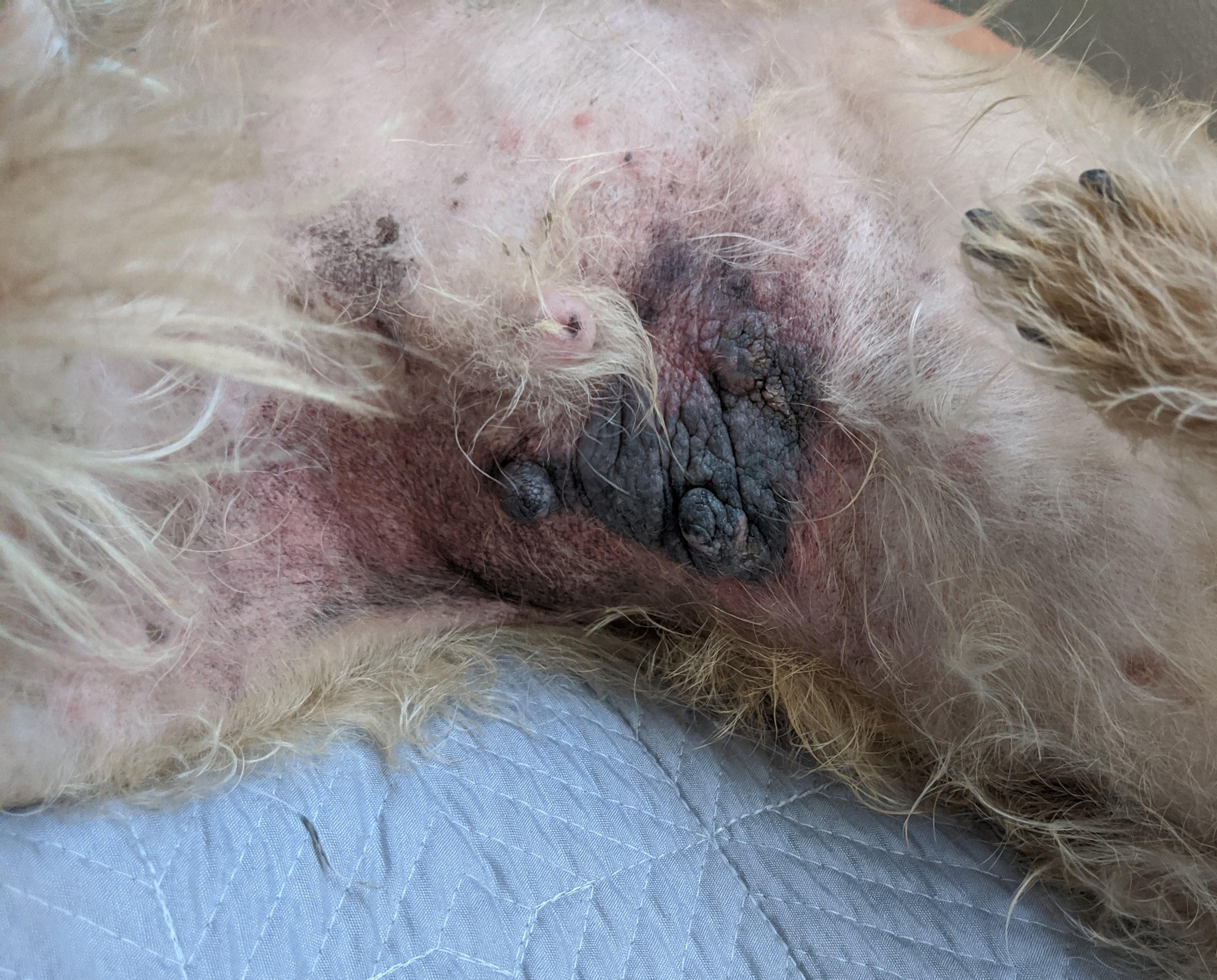 Question details sensitive content