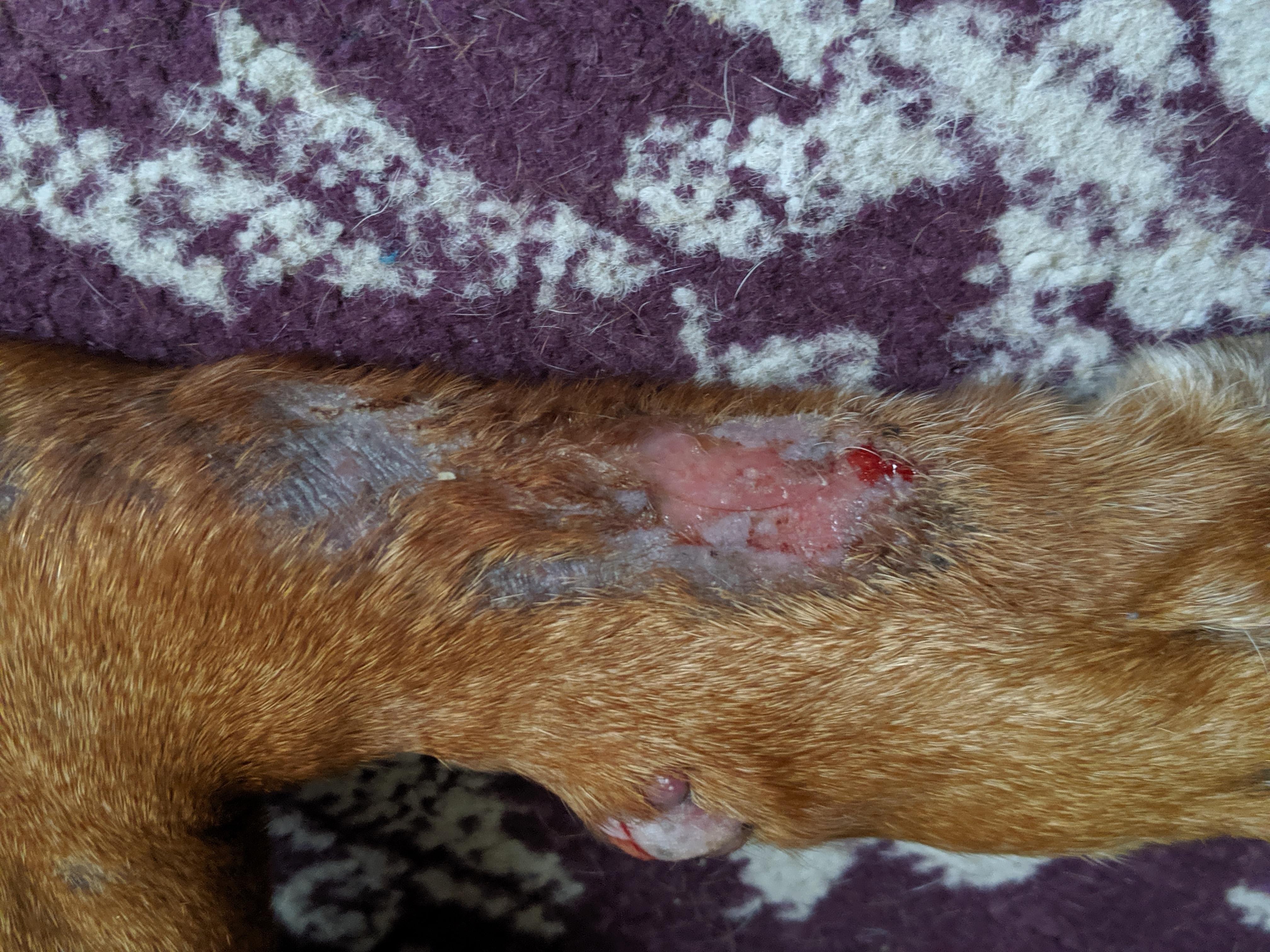 Question details sensitive content