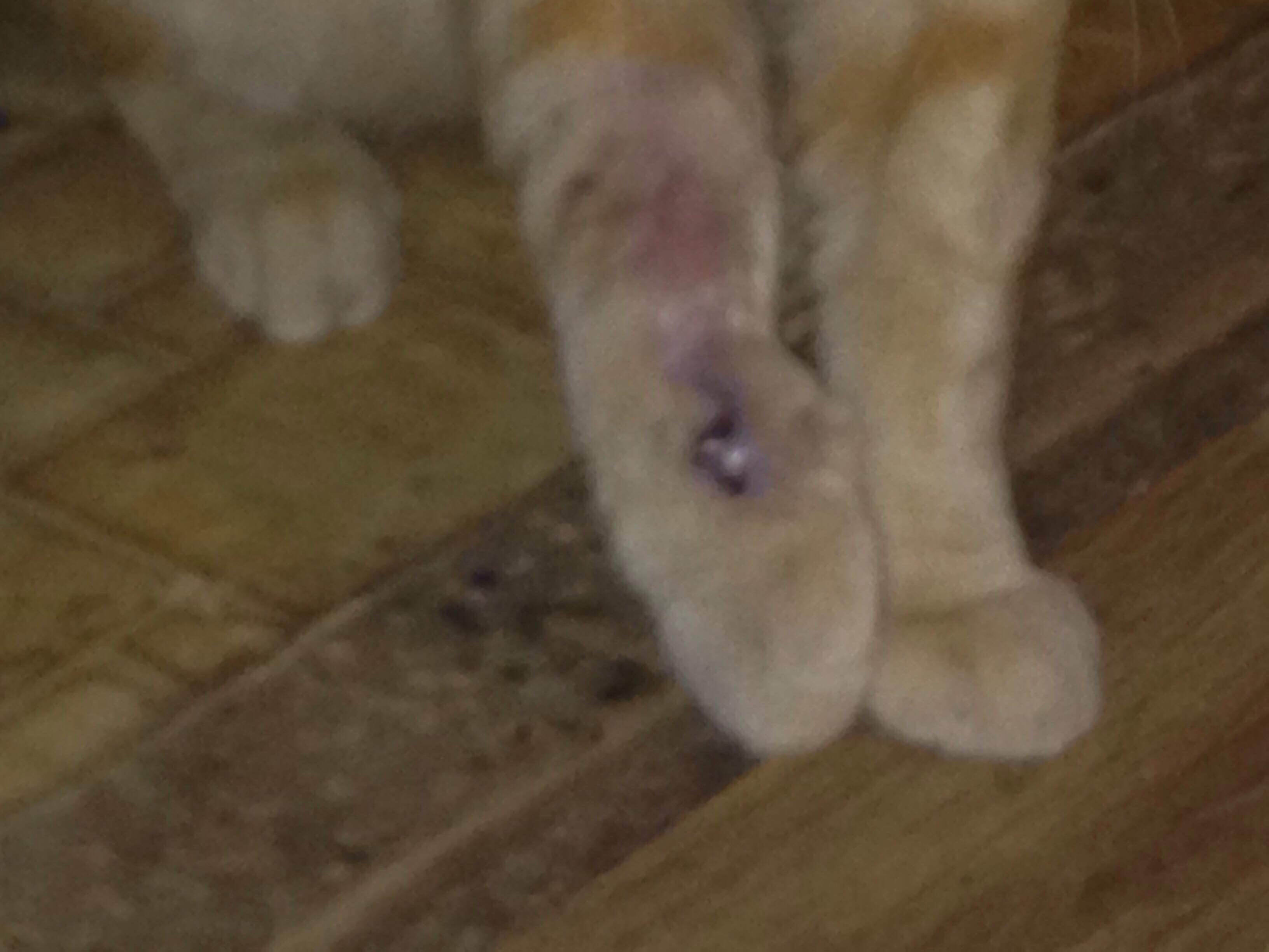 Question details sensitive content