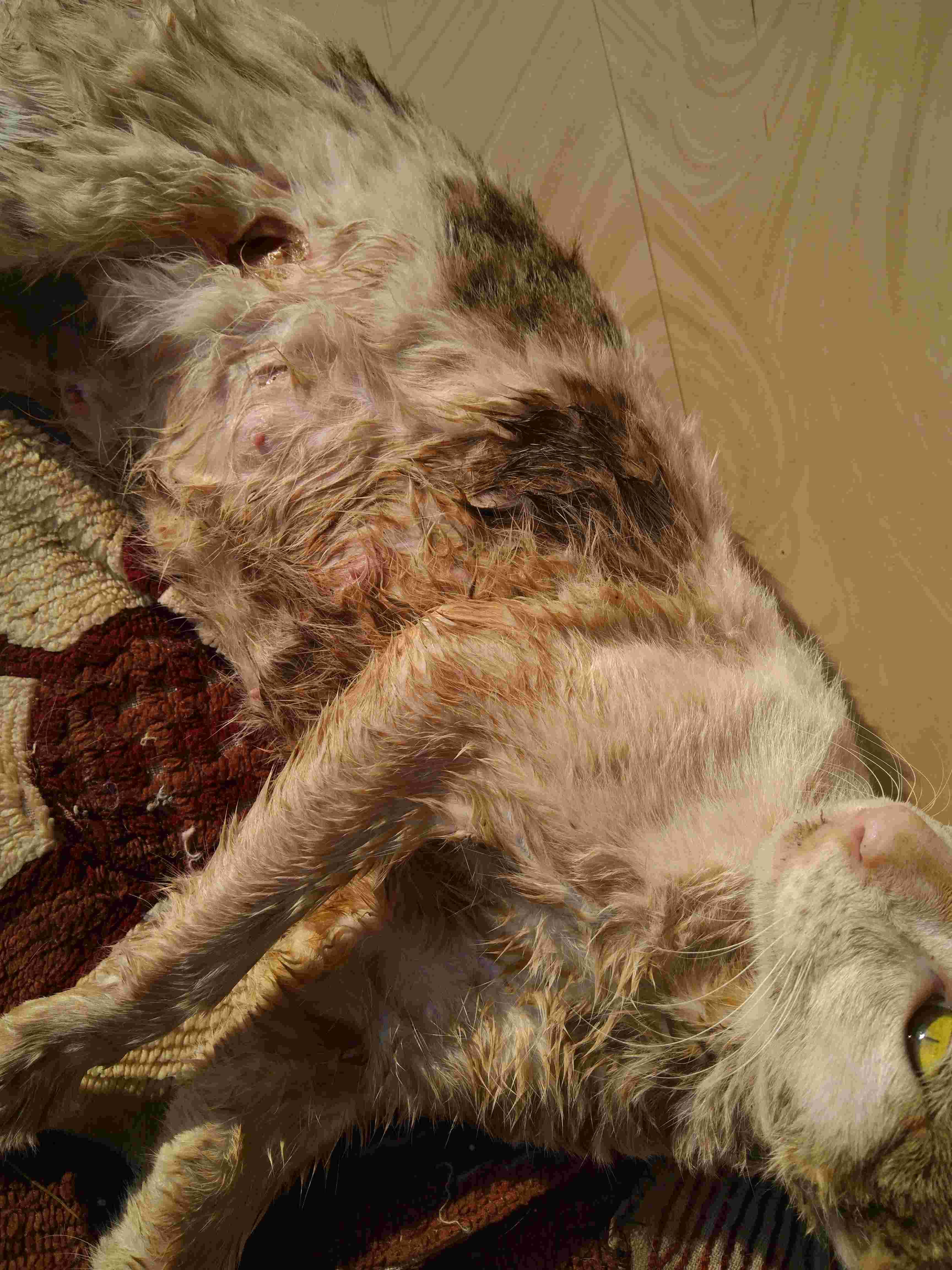 Question details sensitive content