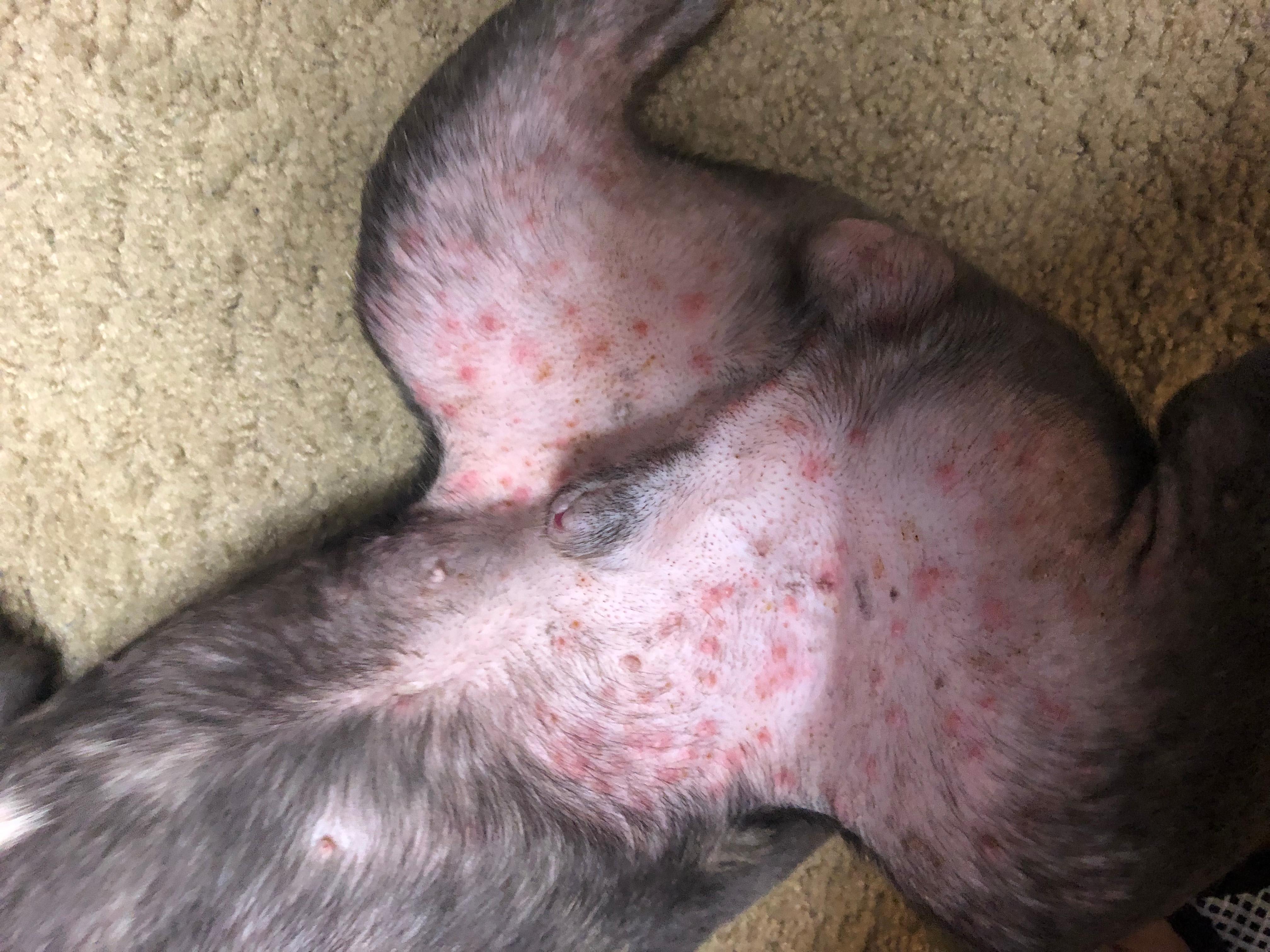 Question details sensitive content