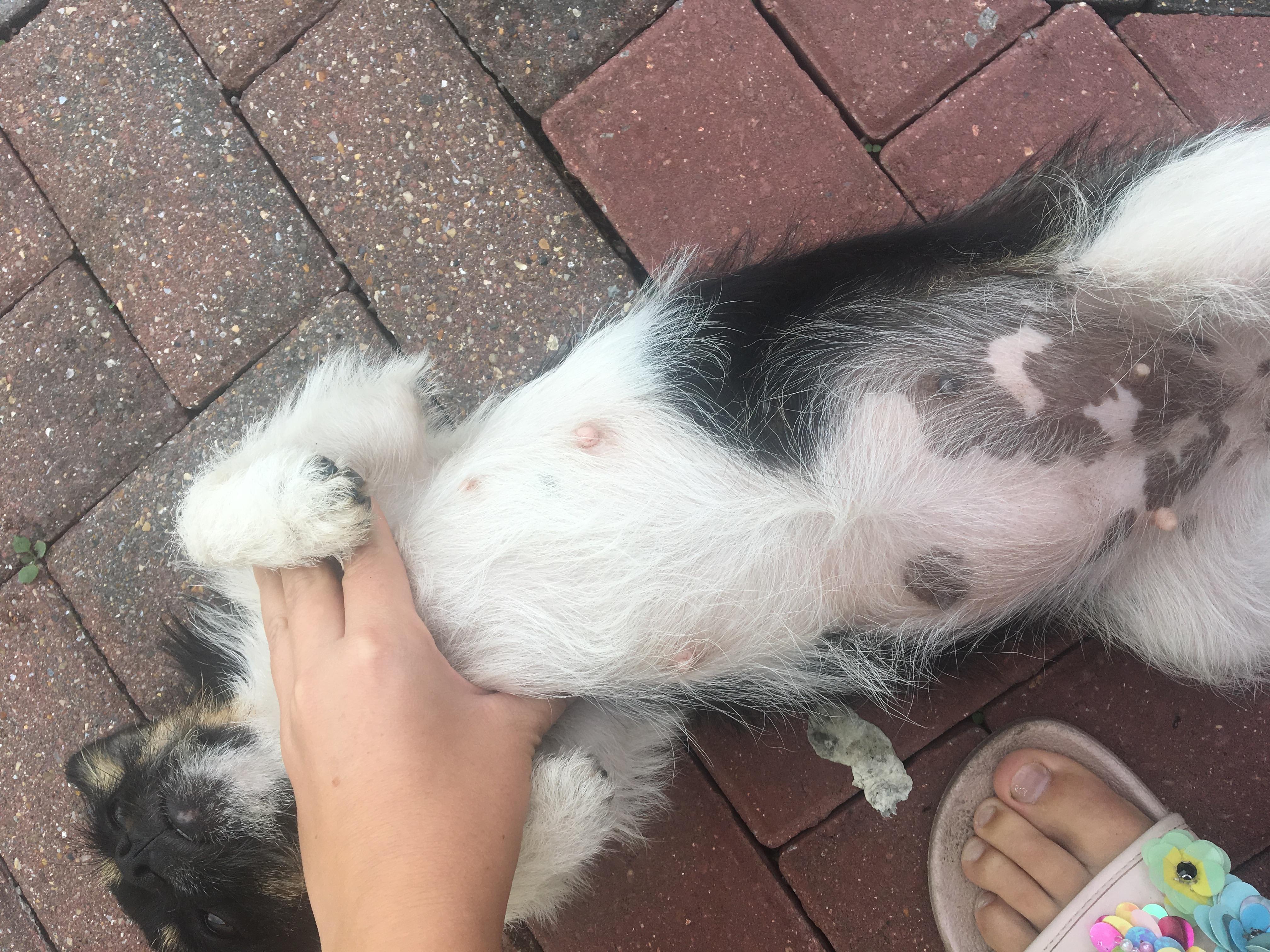 Question details sensitive content