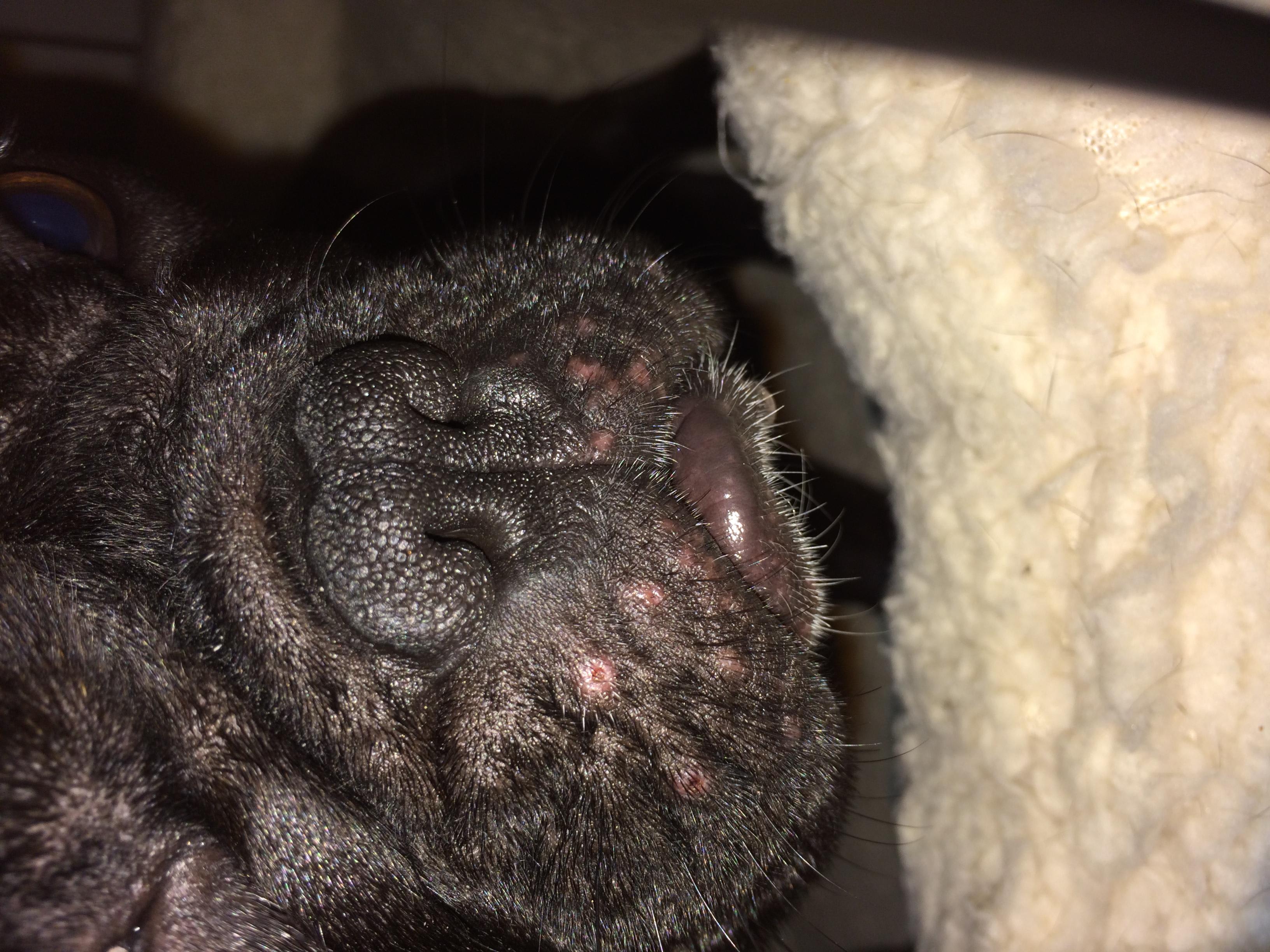 Question details sensitive content