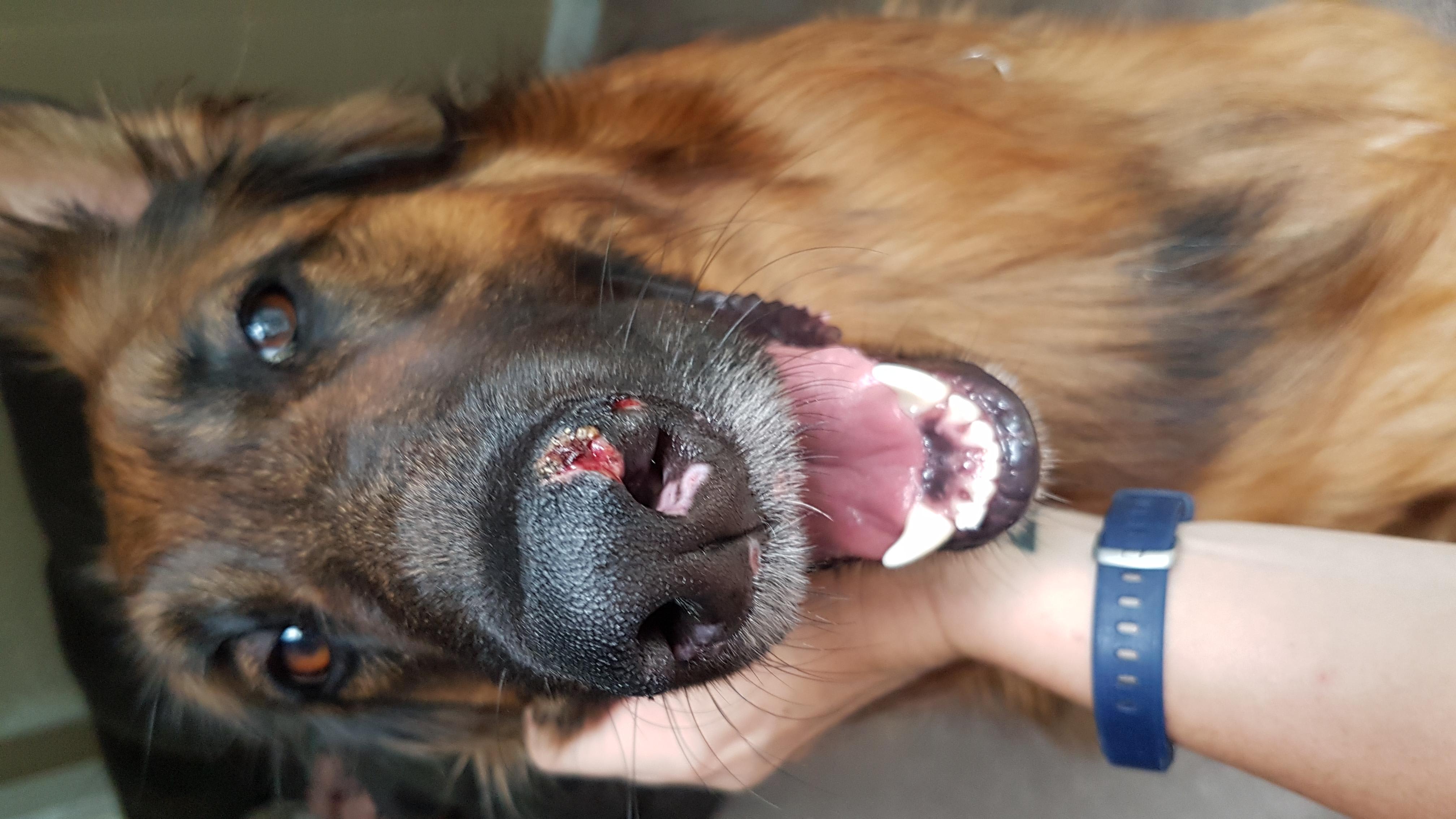 Question details sensitive content