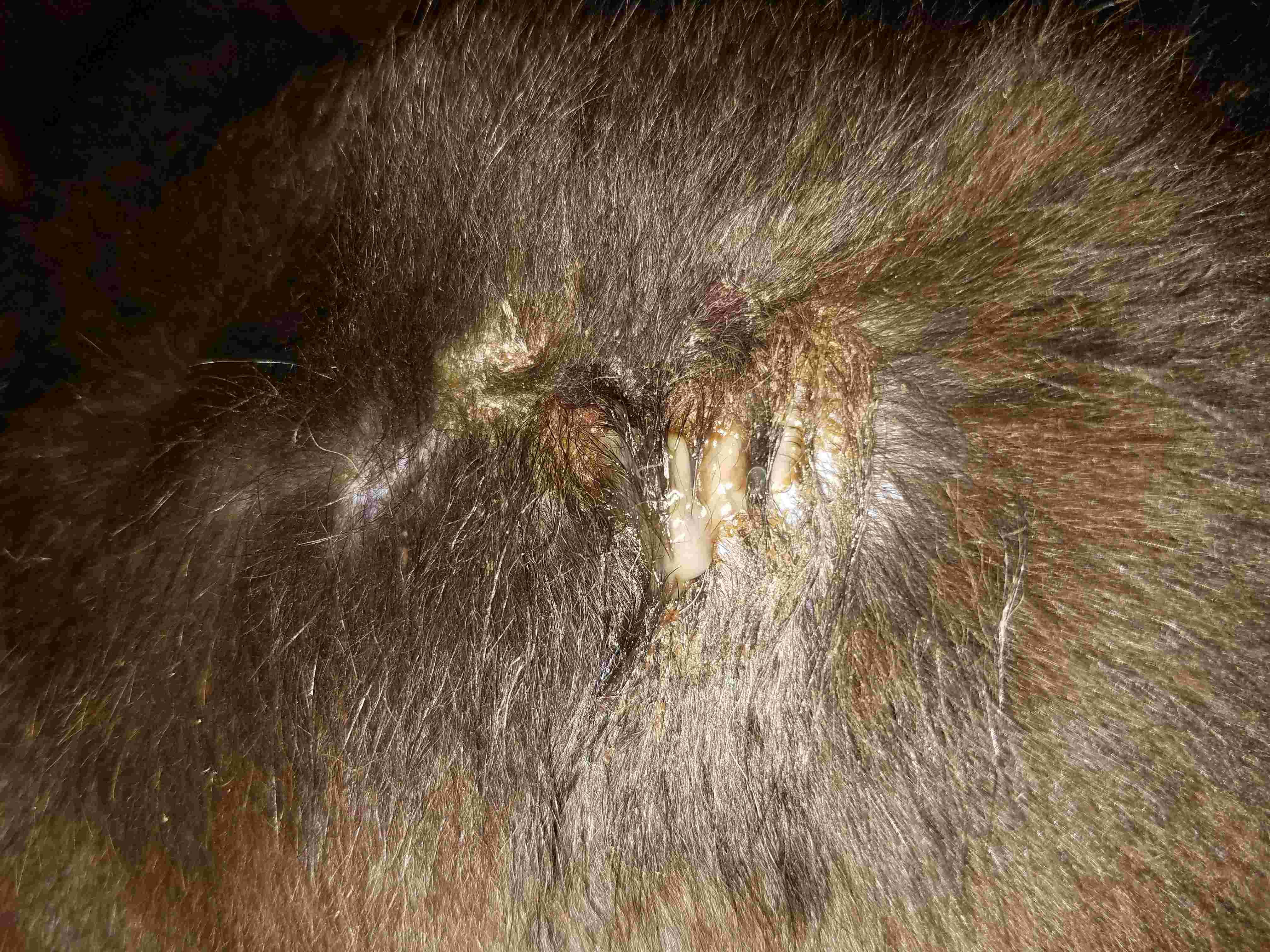 Question details sensitive content