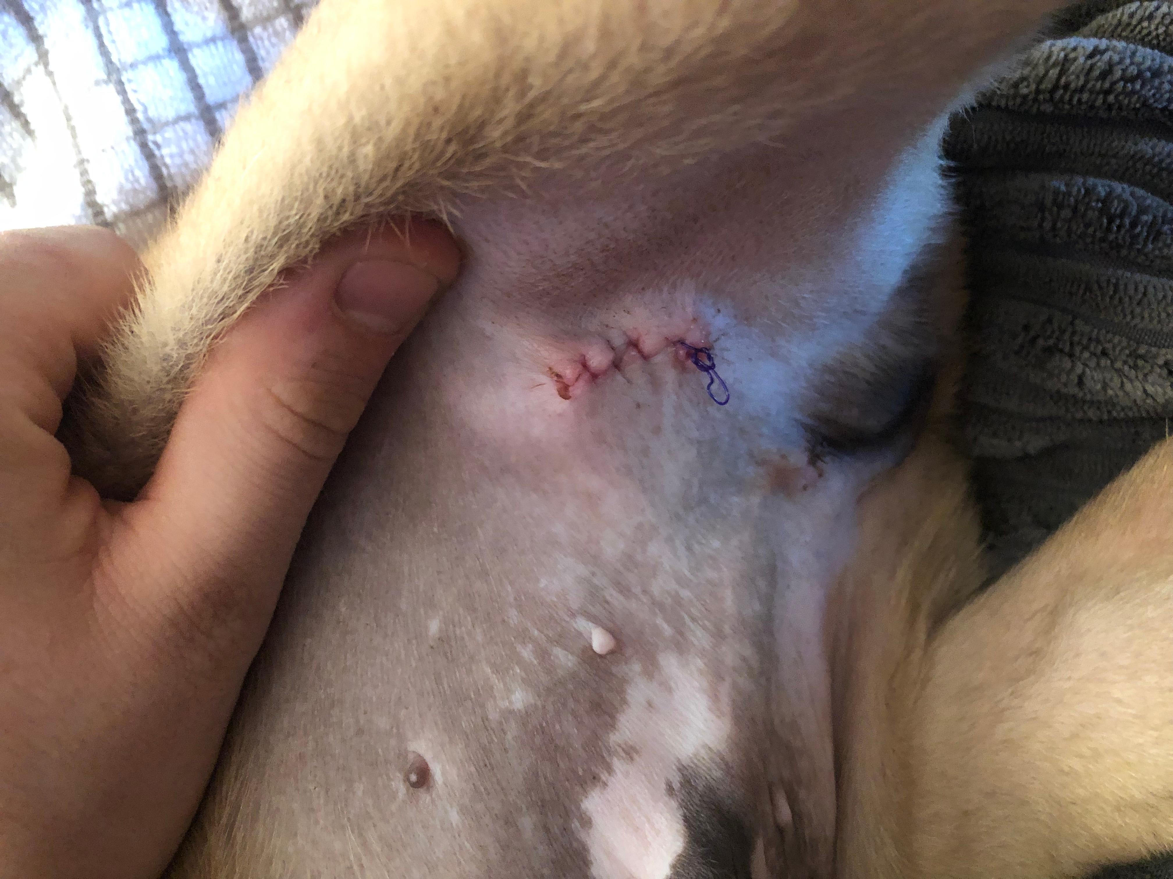 Question details sensitive content