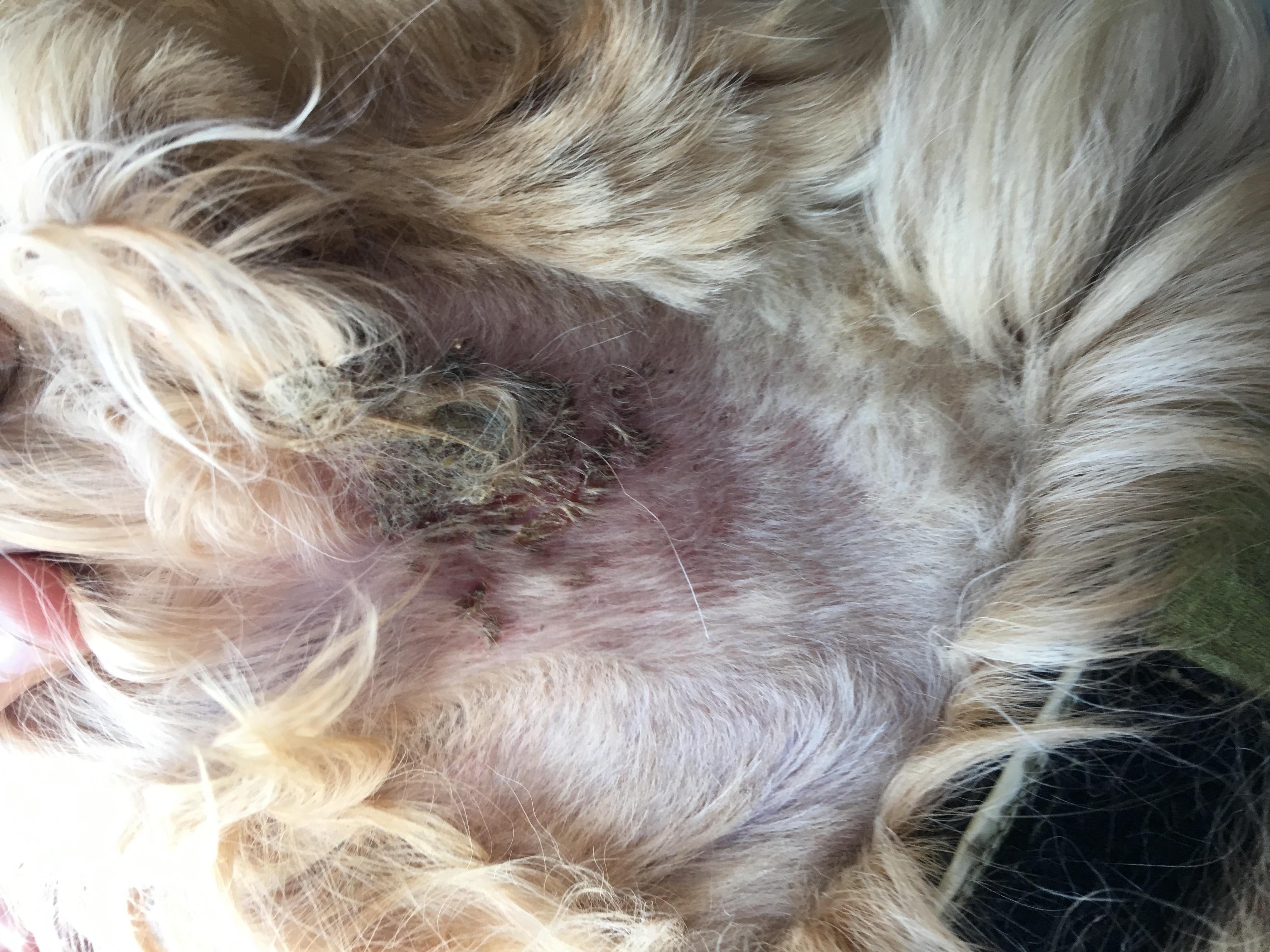 Question details sensitive content