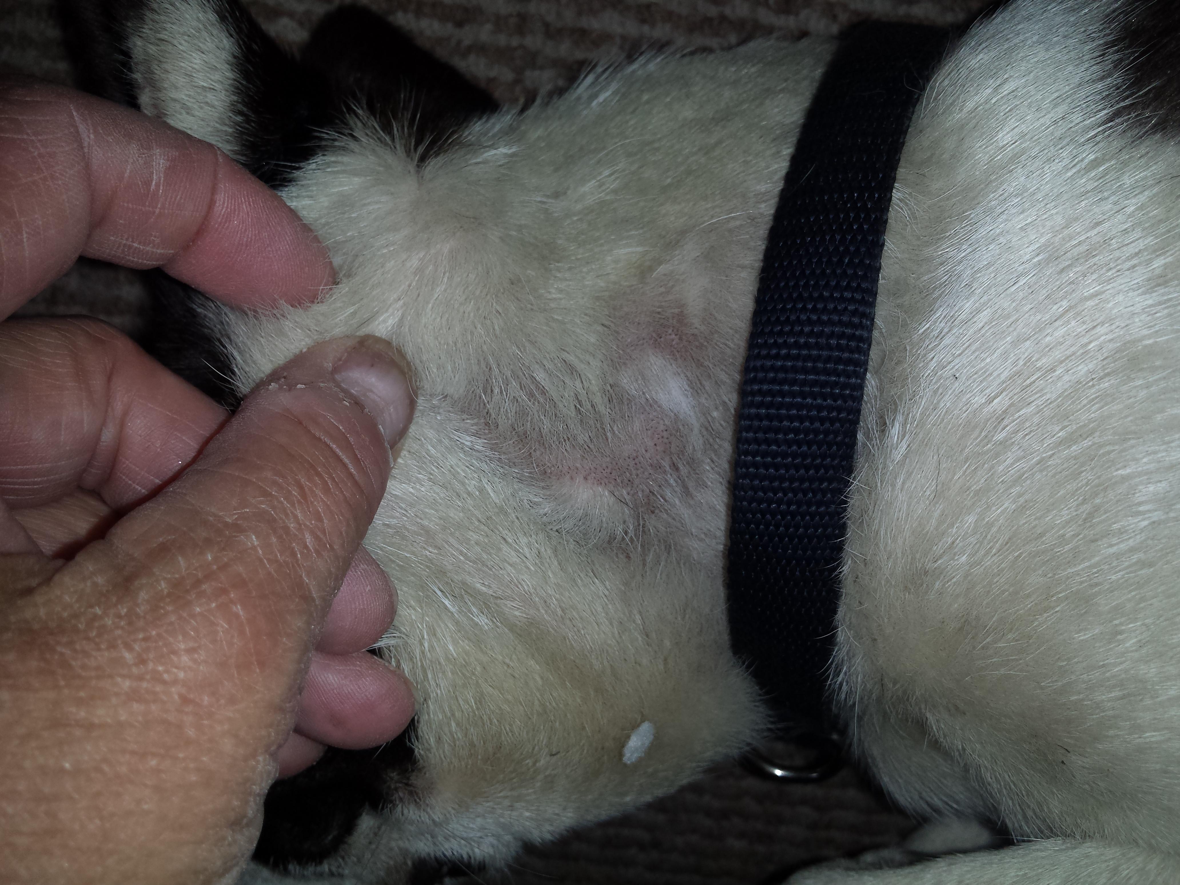 Question details sensitive content