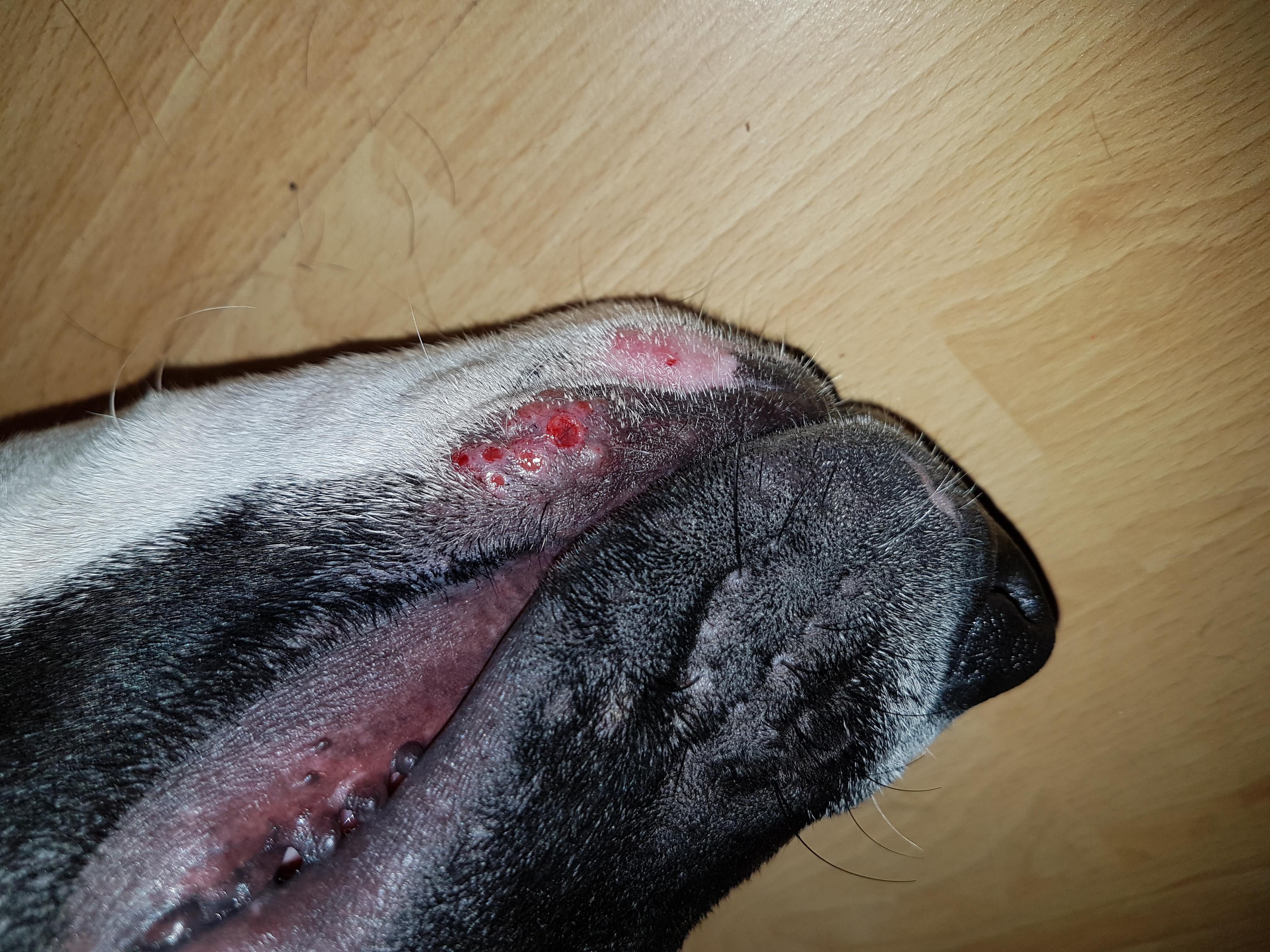 Question details sensitive content