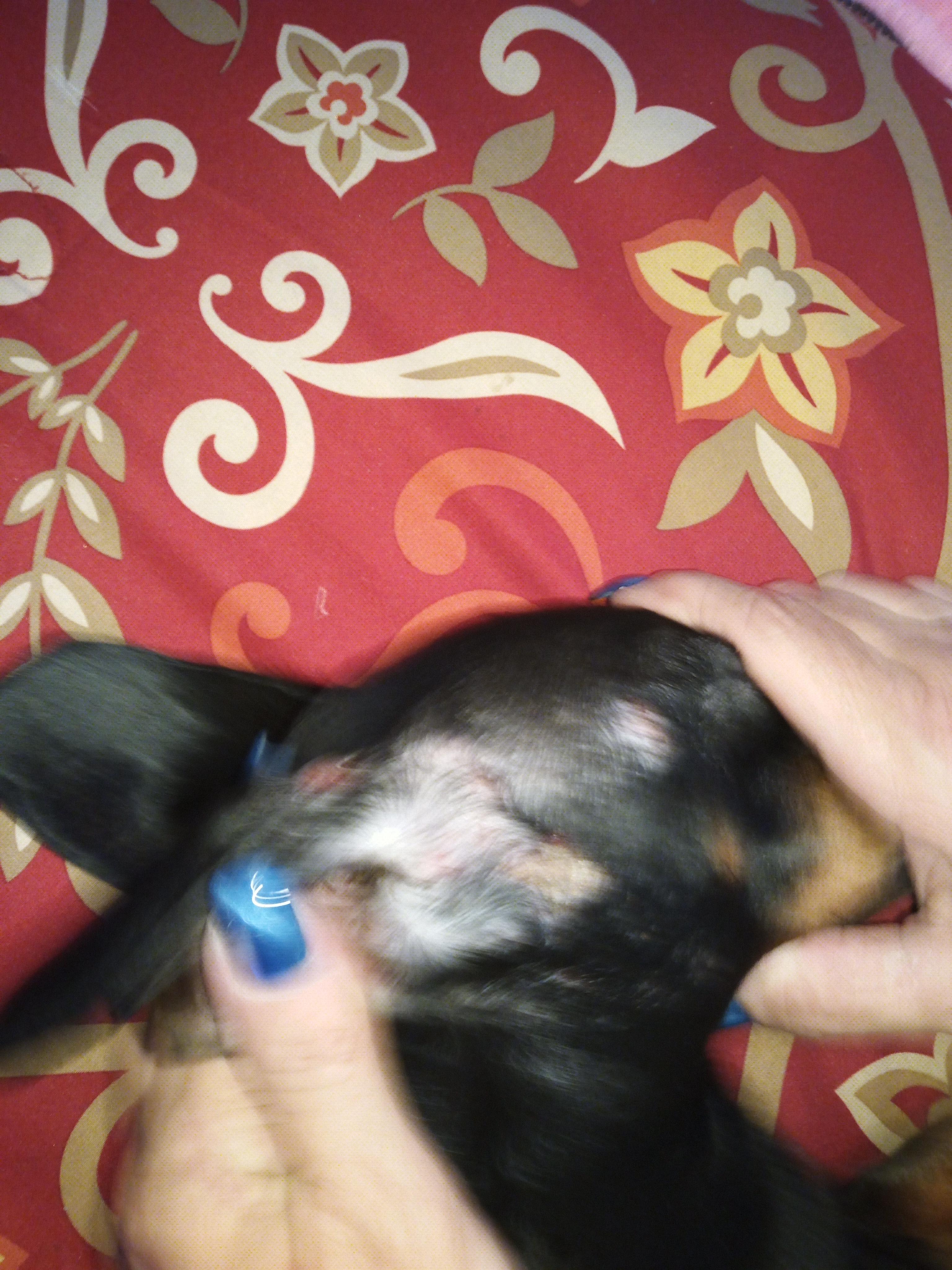 Question details sensitive content