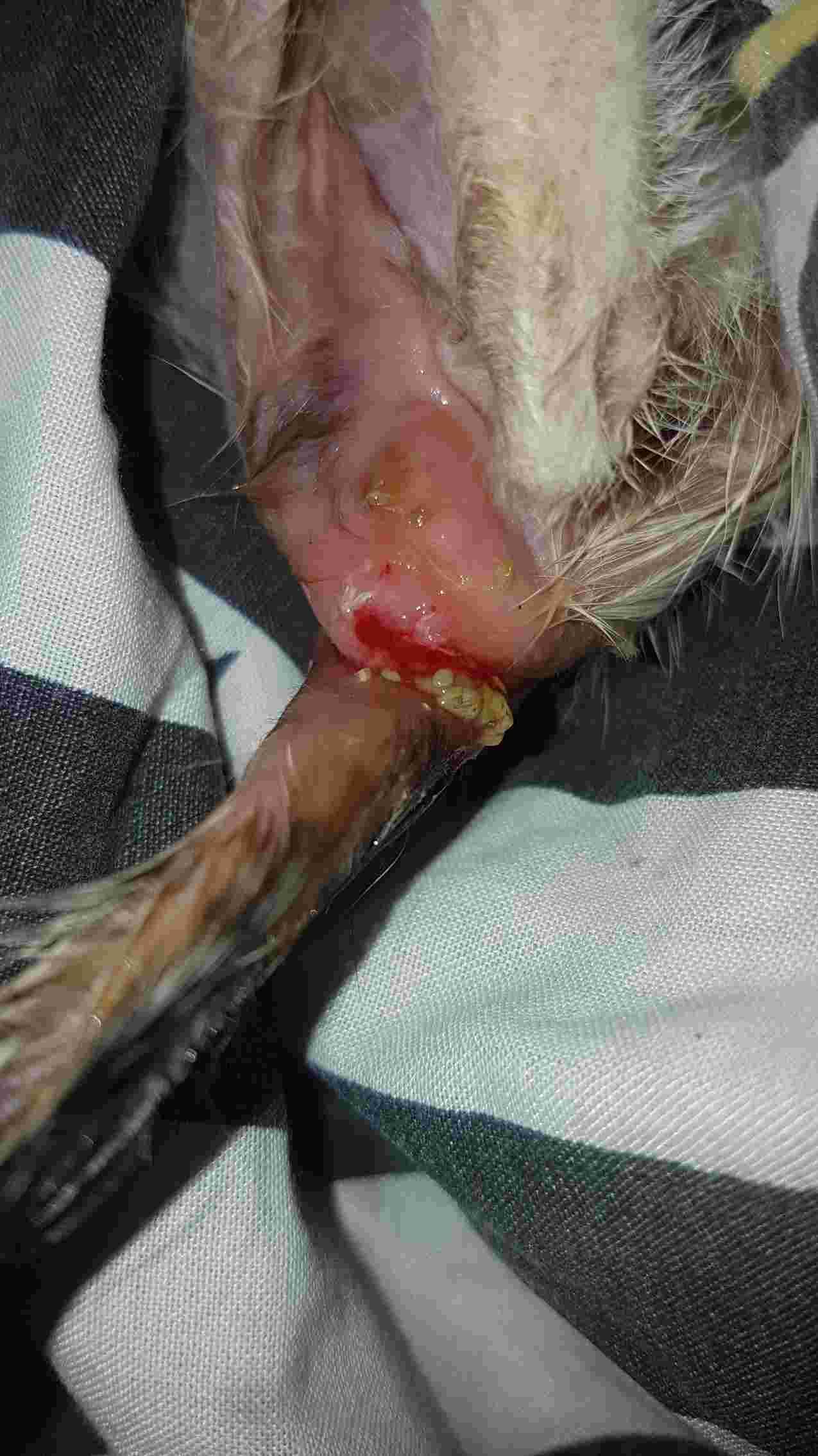 Question details sensitive content