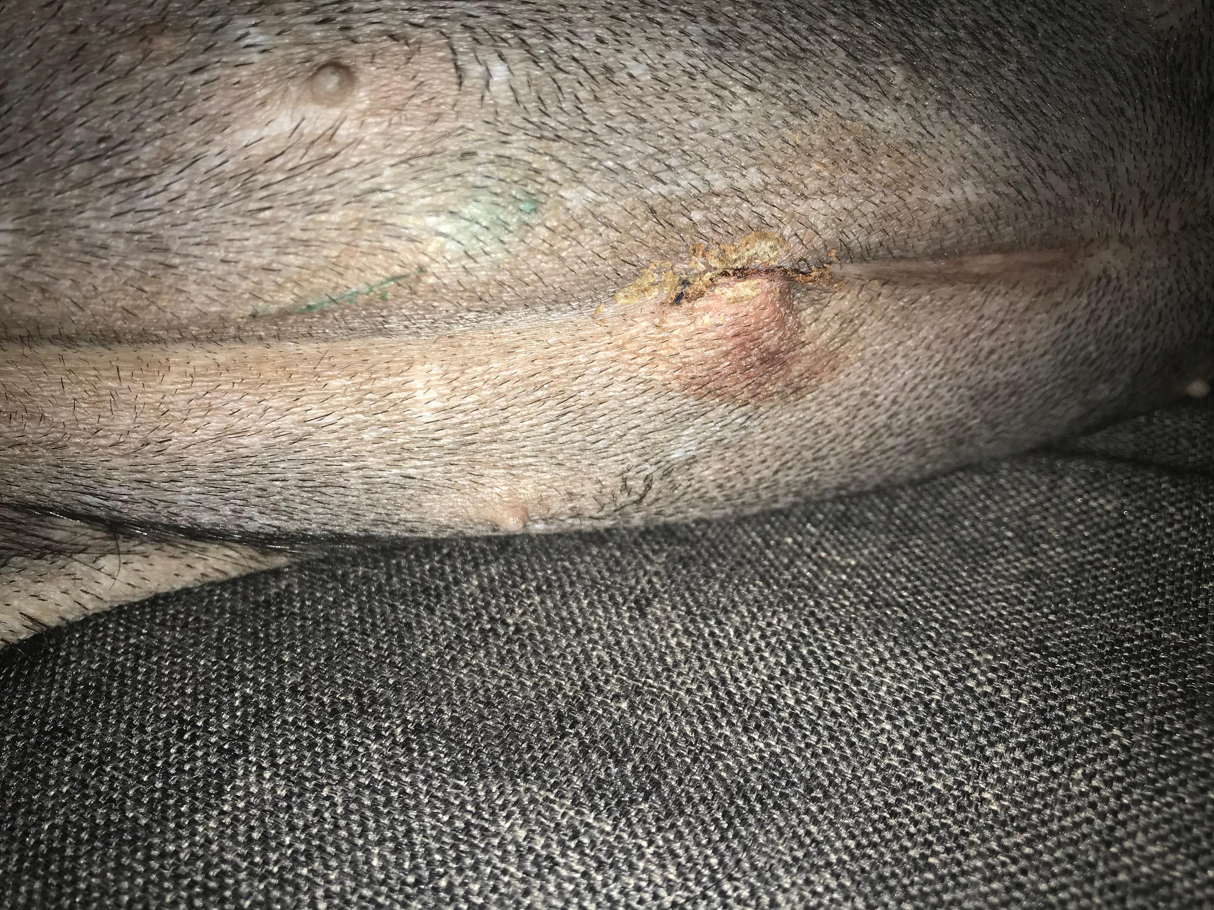 Question details sensitive content