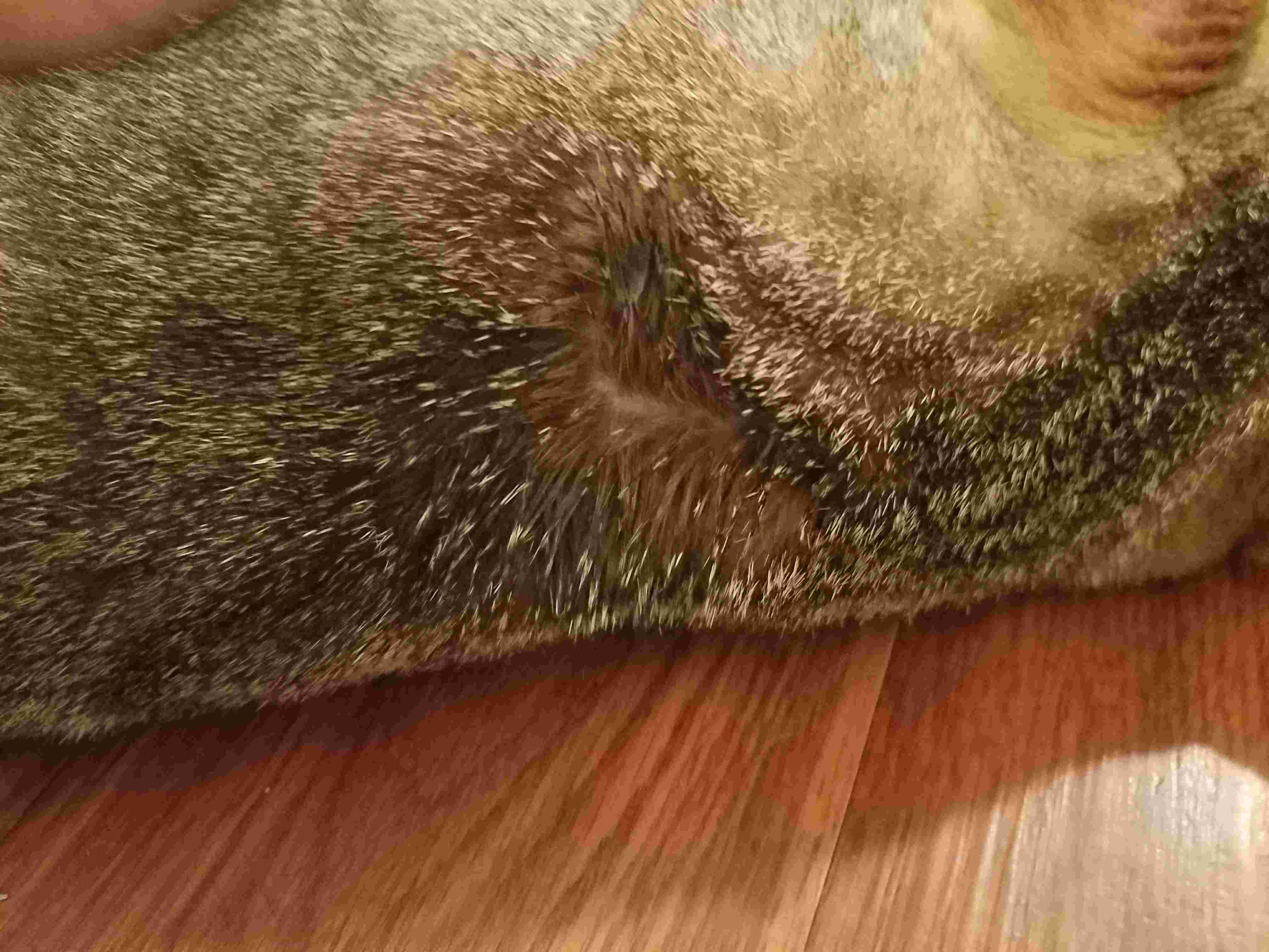 Question details sensitive content