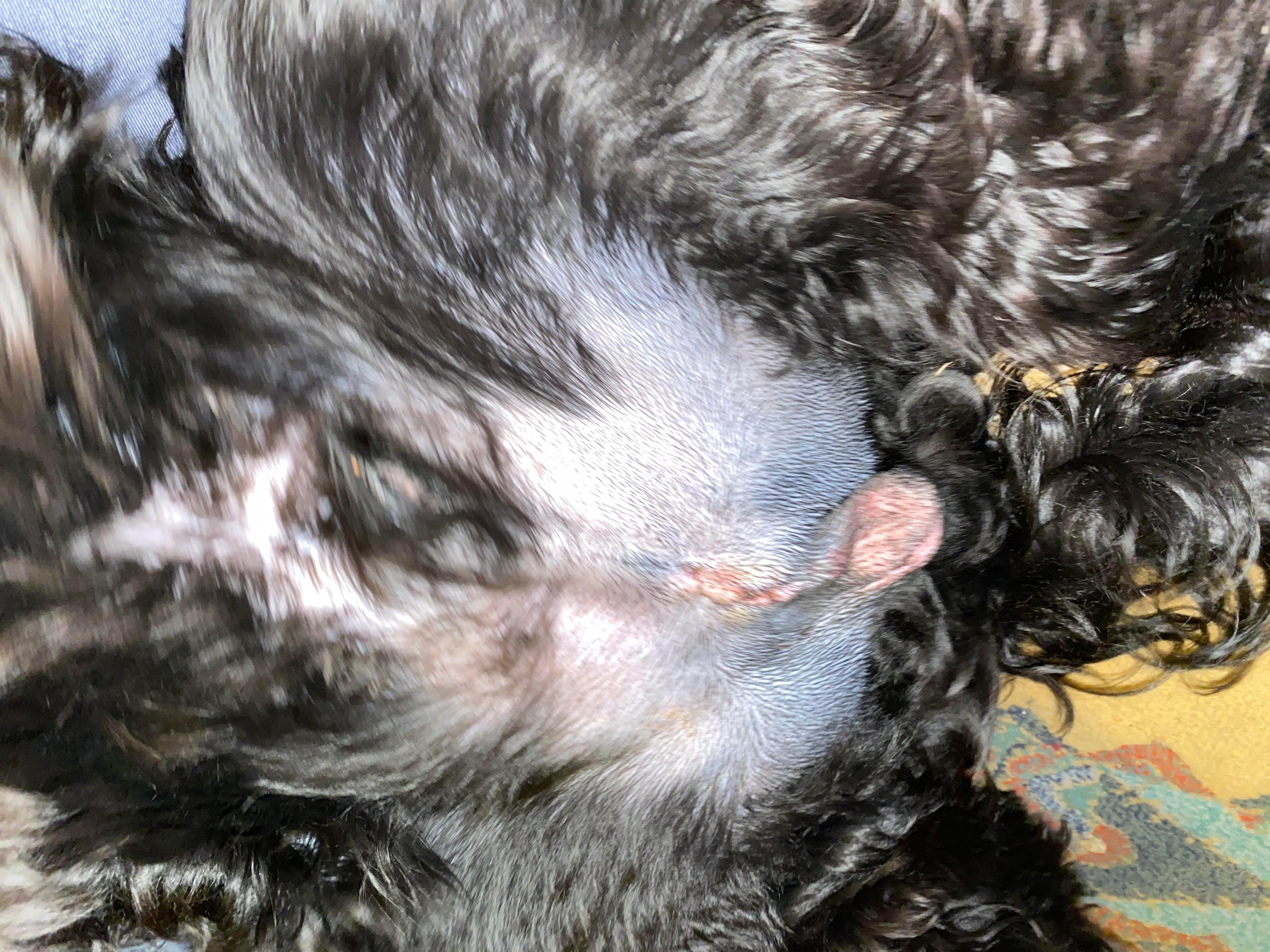 Question details sensitive content