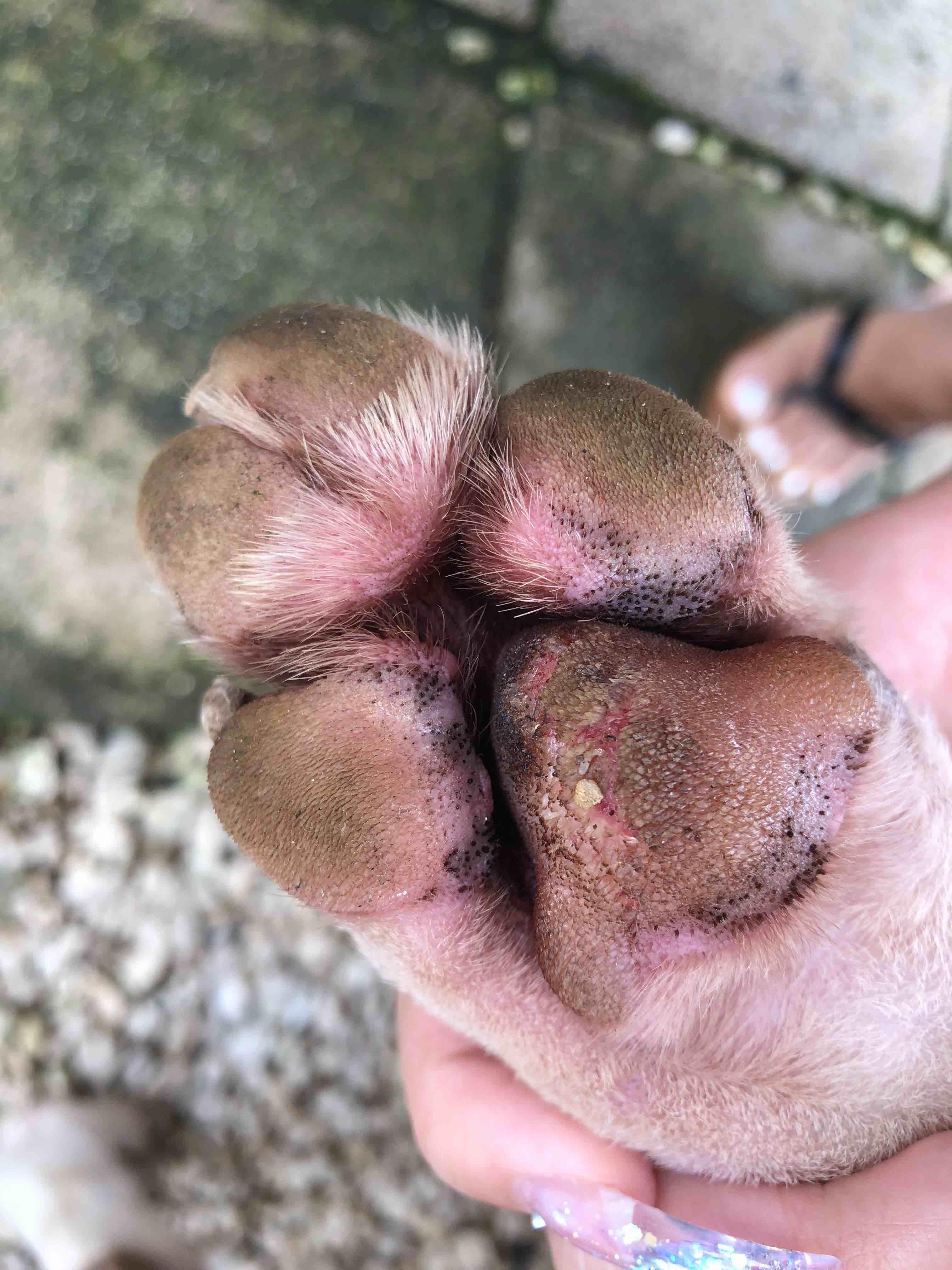 Question details sensitive content