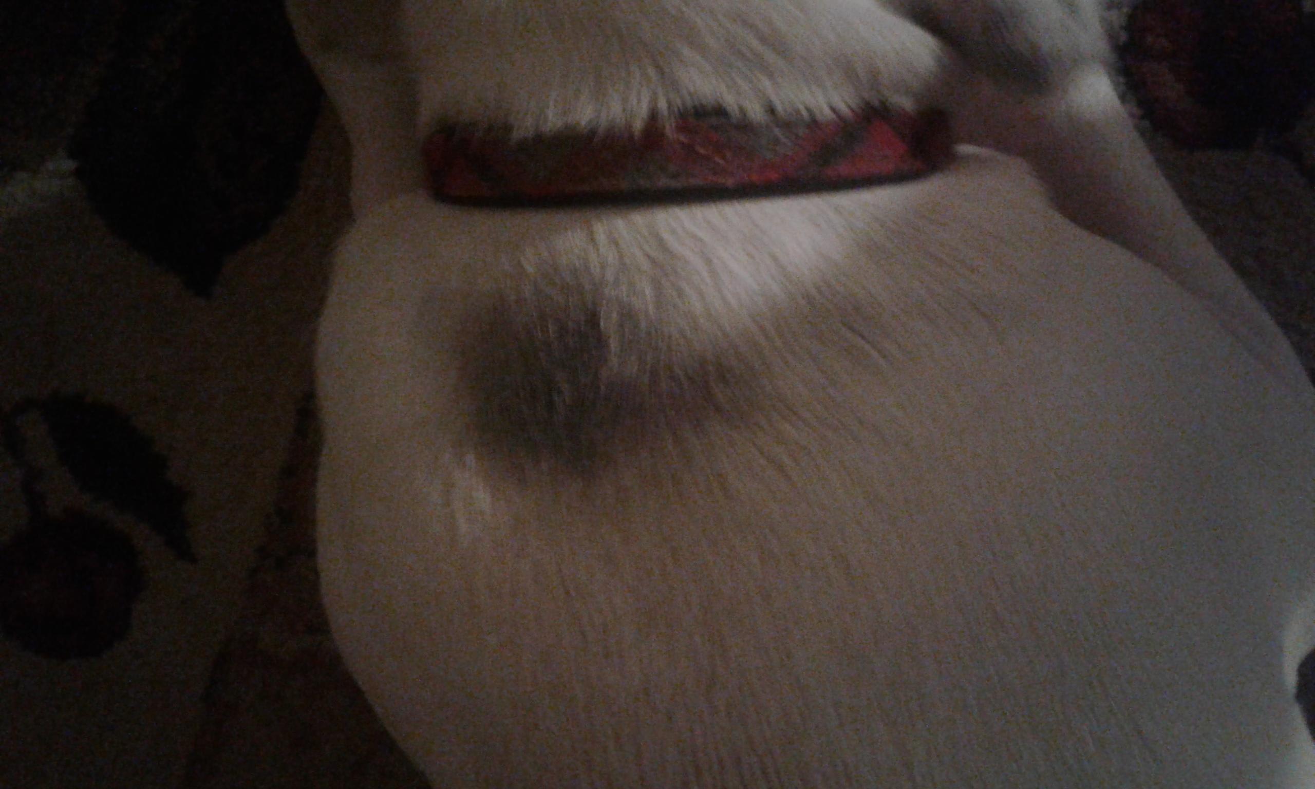 Question details sensitive content