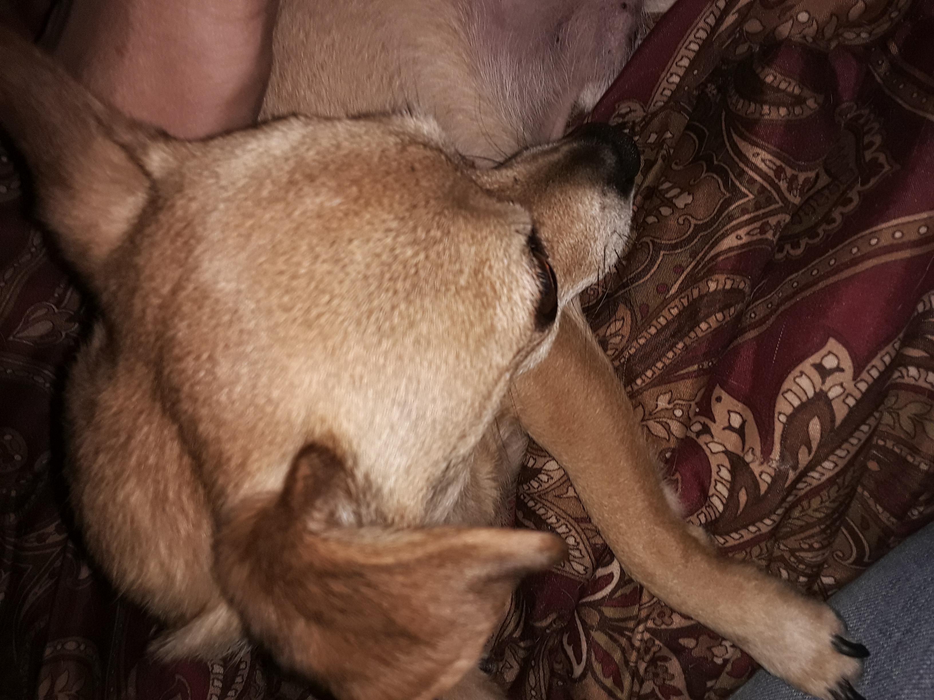 Question details sensitive content